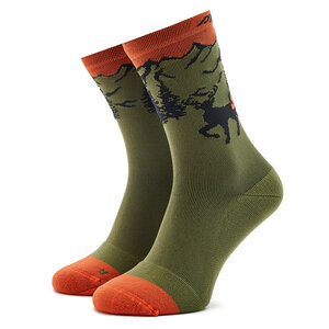 Image of Hohe Herrensocken Dynafit - Stay Fast Winter Moss 4491