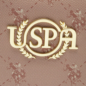 

СумкаU.S. Polo Assn., Коричневий