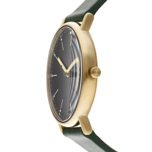 

ГодинникSkagen, Зелений