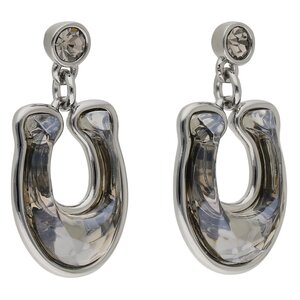 Image of Ohrringe Coach - Fct Crysl Drp Ear CG137 Silver SLV