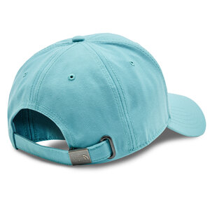 

БейсболкаThe North Face, Голубий