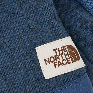 

Чоловічі рукавичкиThe North Face, Синій