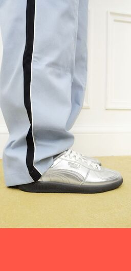 Silver Sneakers