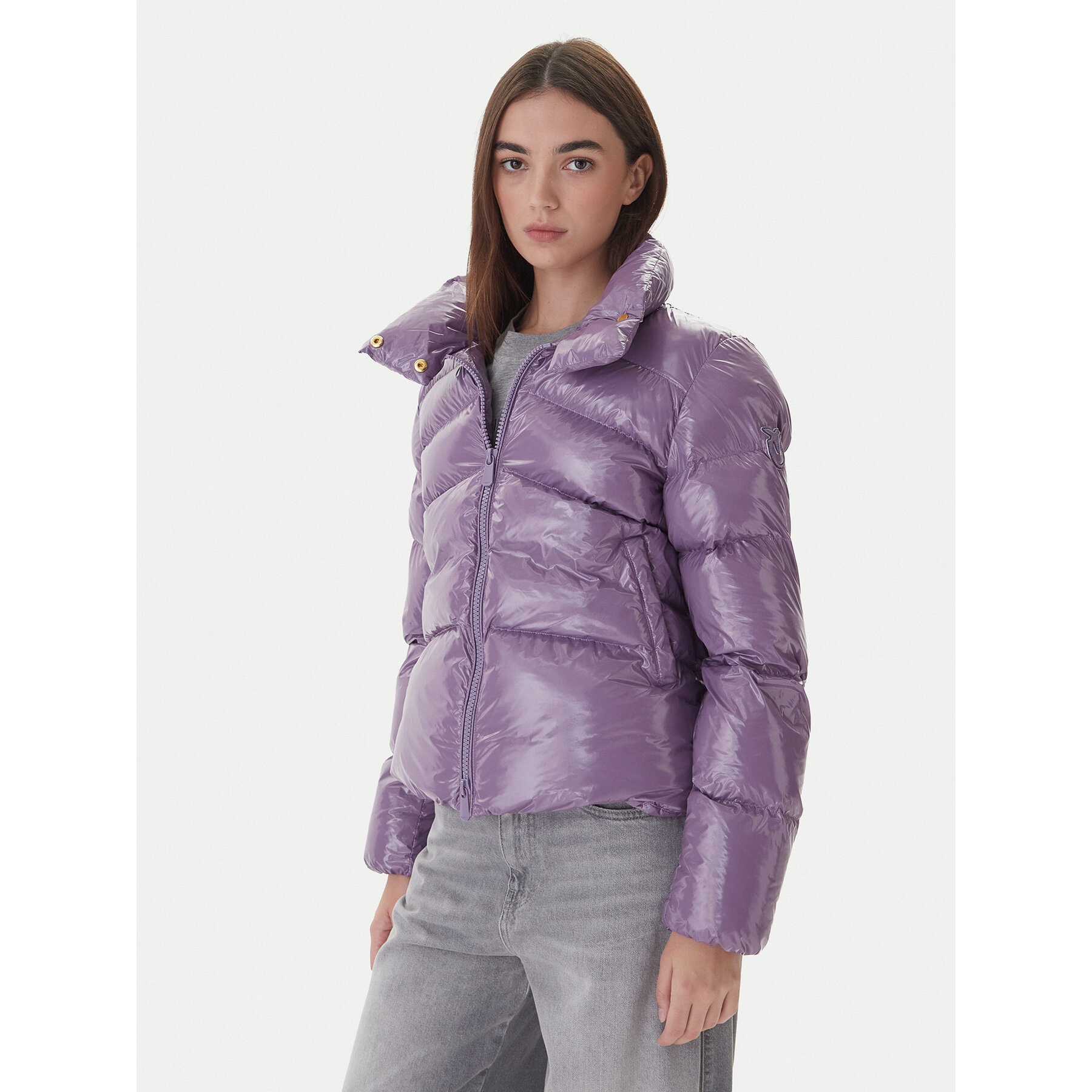 PINKO Winterjacke 101598 A2P7 Violett Regular Fit