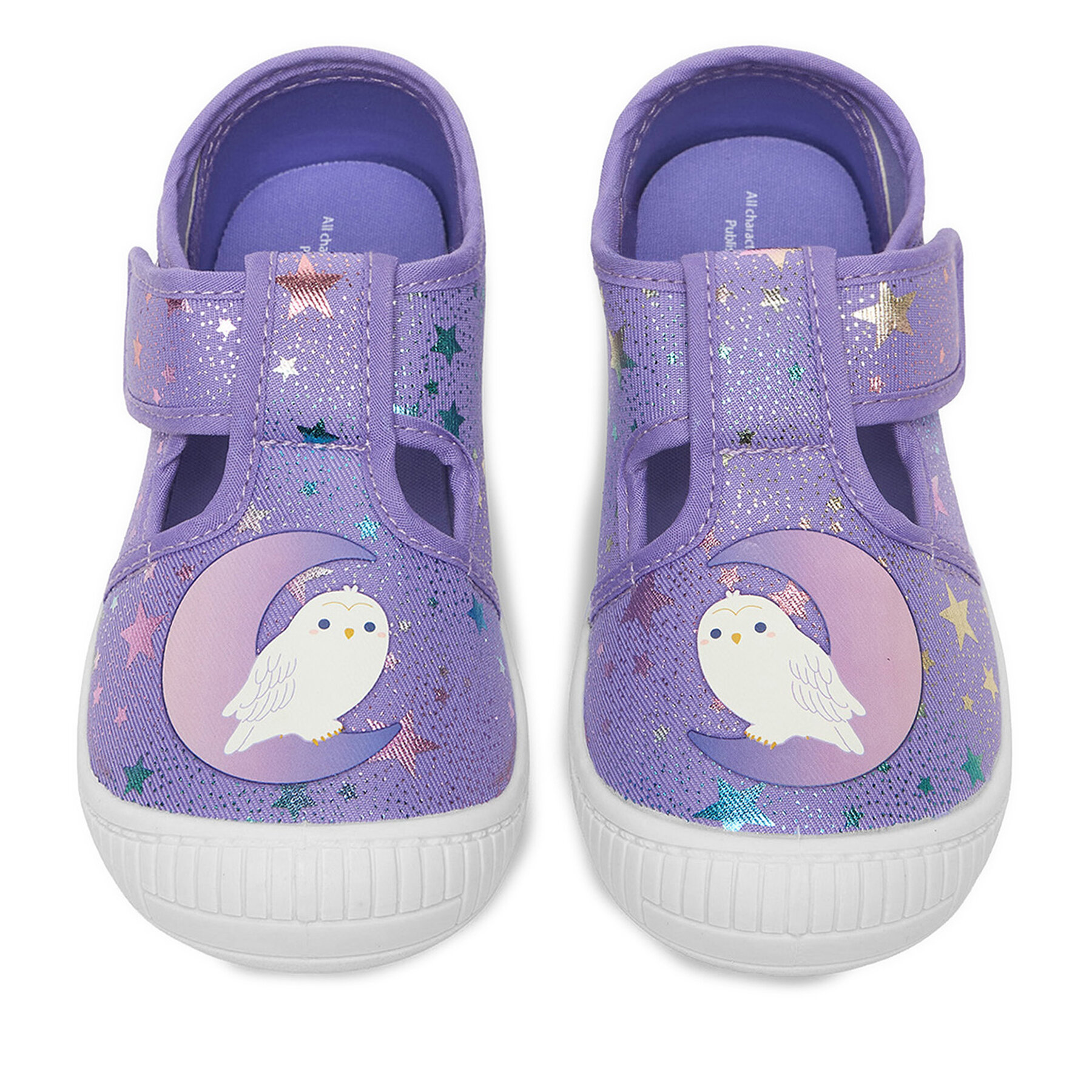 Papuci de casă Harry Potter CEO-CM-AW25-300WBHP Violet