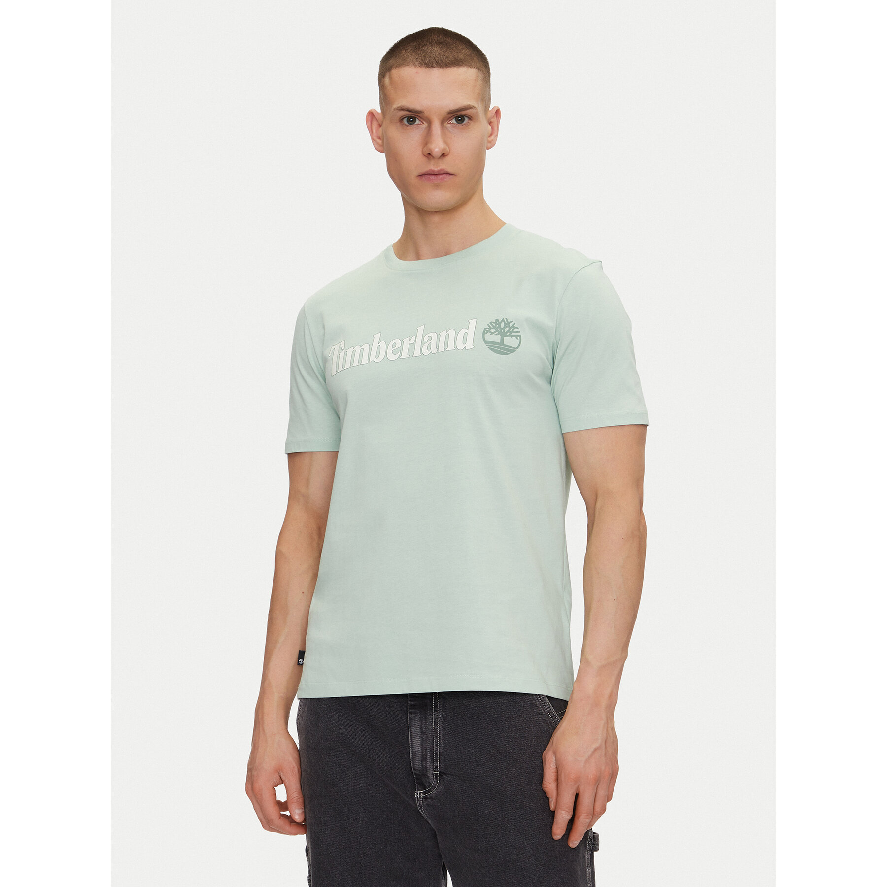 Timberland T-shirt TB0A5UPQ Verde Regular Fit