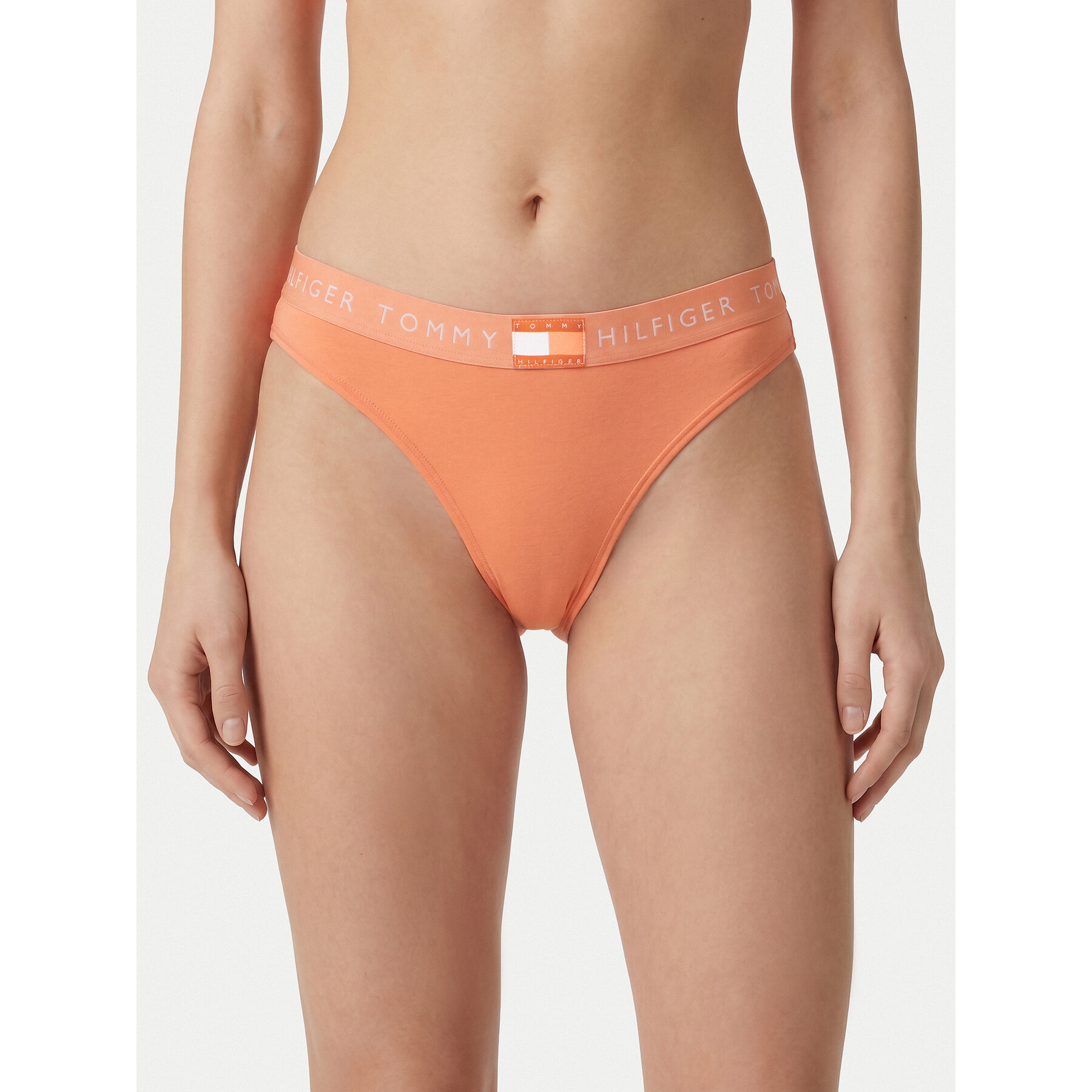 Tommy Hilfiger Klassischer Damenslip Heritage Tonal UW0UW06038 Orange
