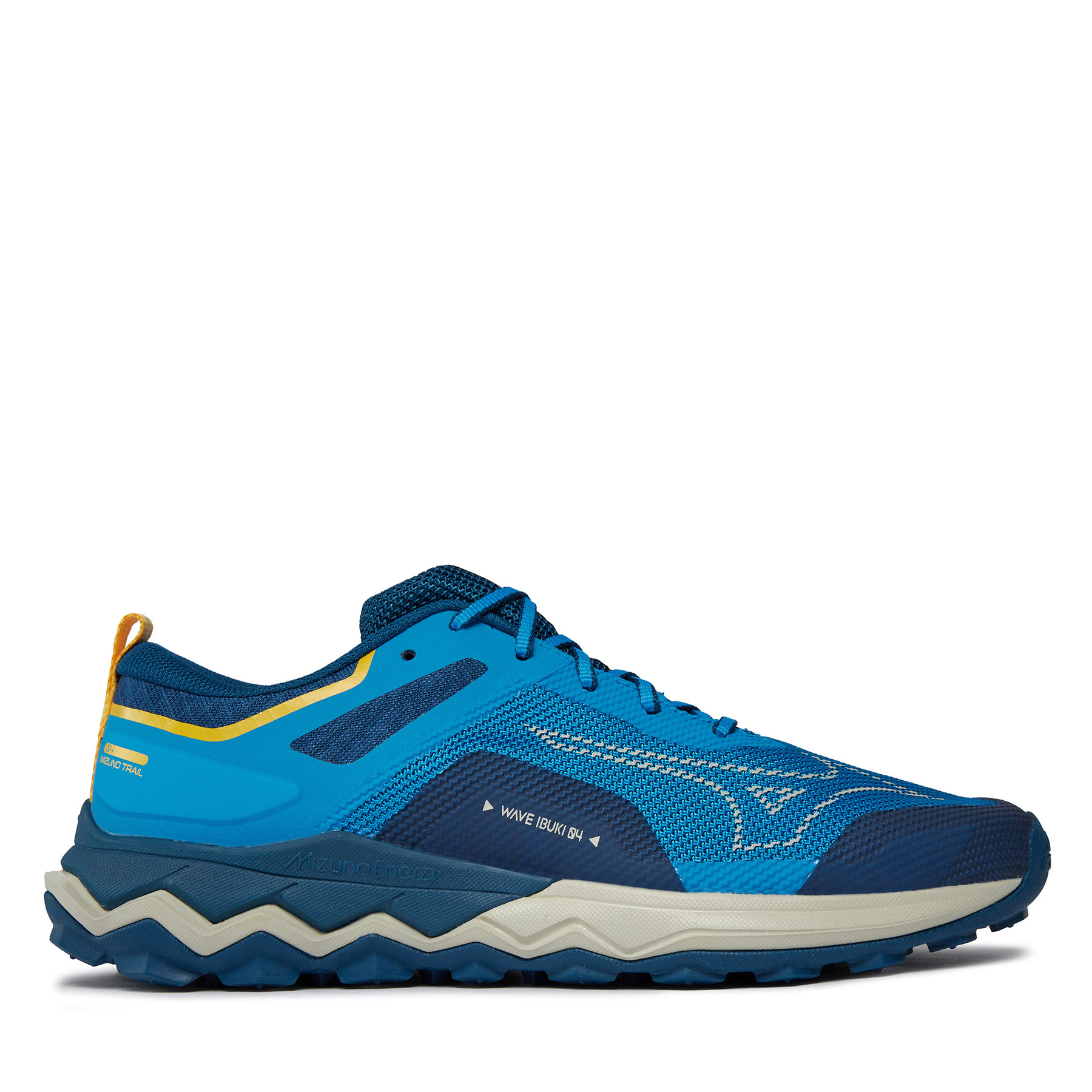 Chaussures de running Mizuno Wave Ibuki 4 J1GJ2273 Bleu