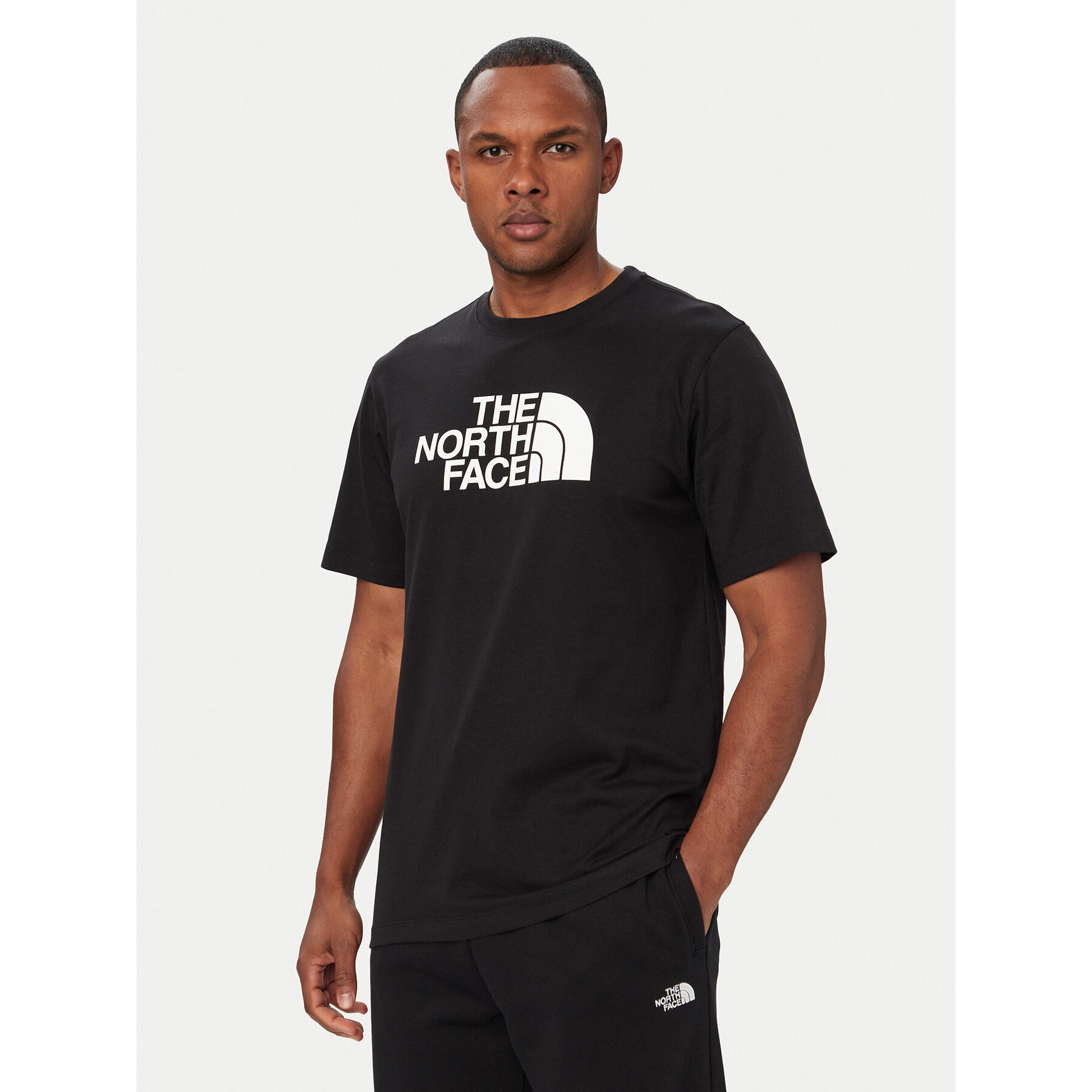 The North Face Majica Evolution Half Dome NF0A8B6J Črna Regular Fit