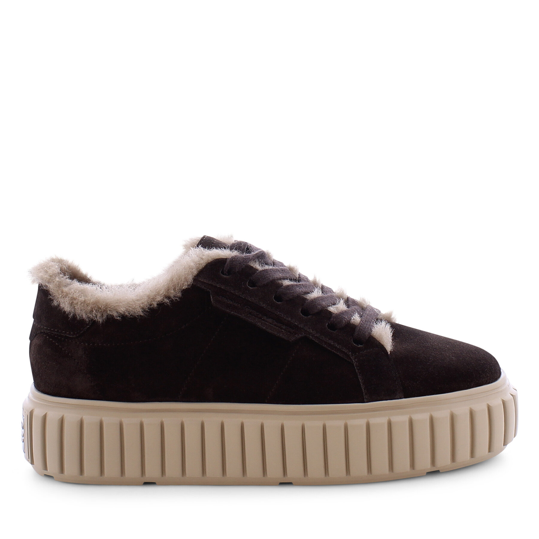 Sneakers Kennel & Schmenger