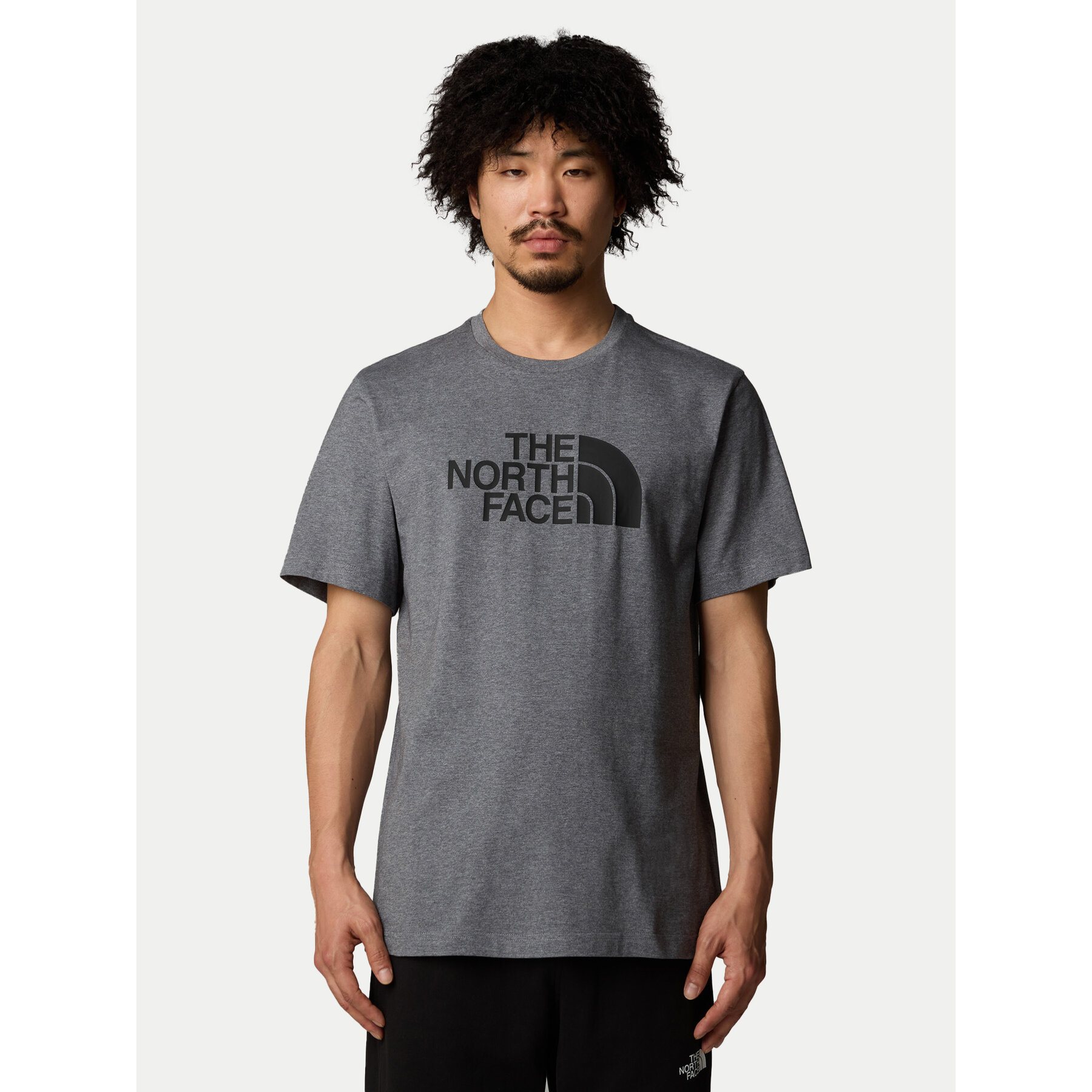 The North Face Póló Easy NF0A8A6C Szürke Regular Fit