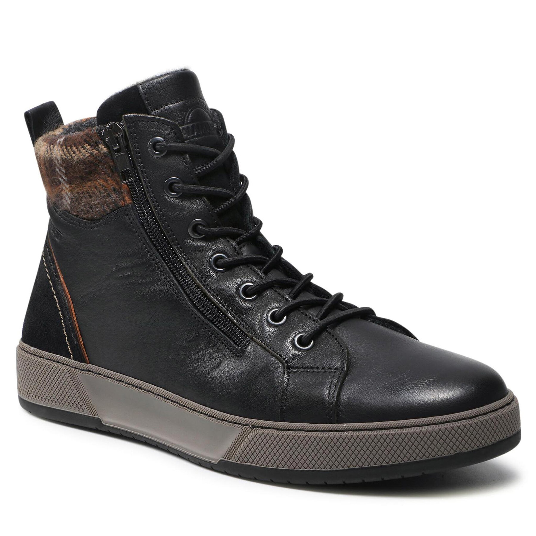 Sneakers Salamander