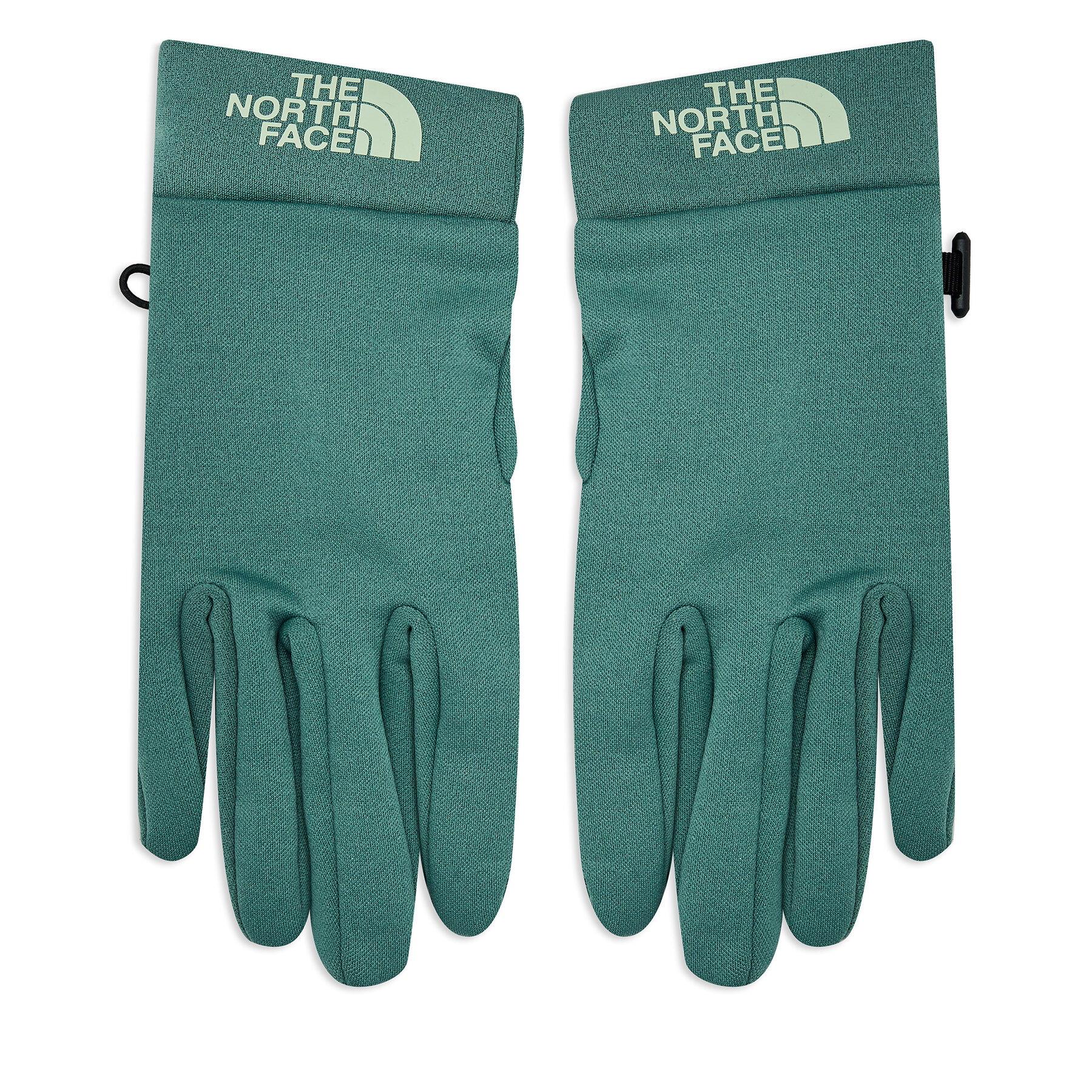 Guantes de hombre The North Face Tnf Rino GloveNF0A55KZI0F1 Verde