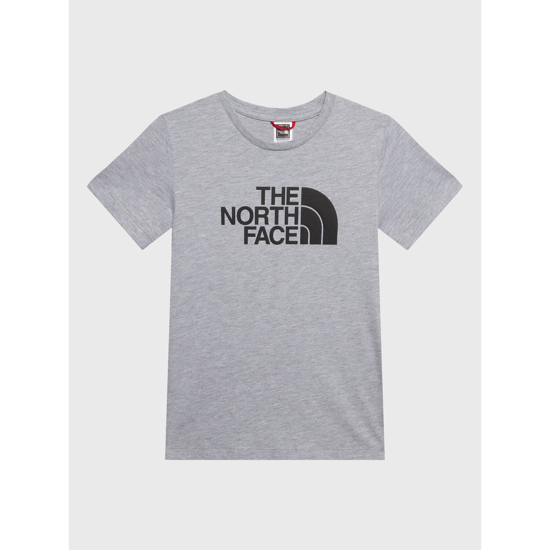 The North Face The North Face T-Shirt Easy NF0A82GH Γκρι Regular Fit