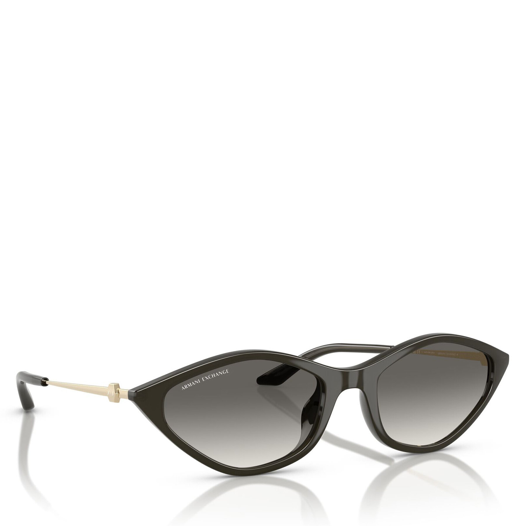 Slnečné okuliare Armani Exchange 0AX4152SU 55 836711 Béžová