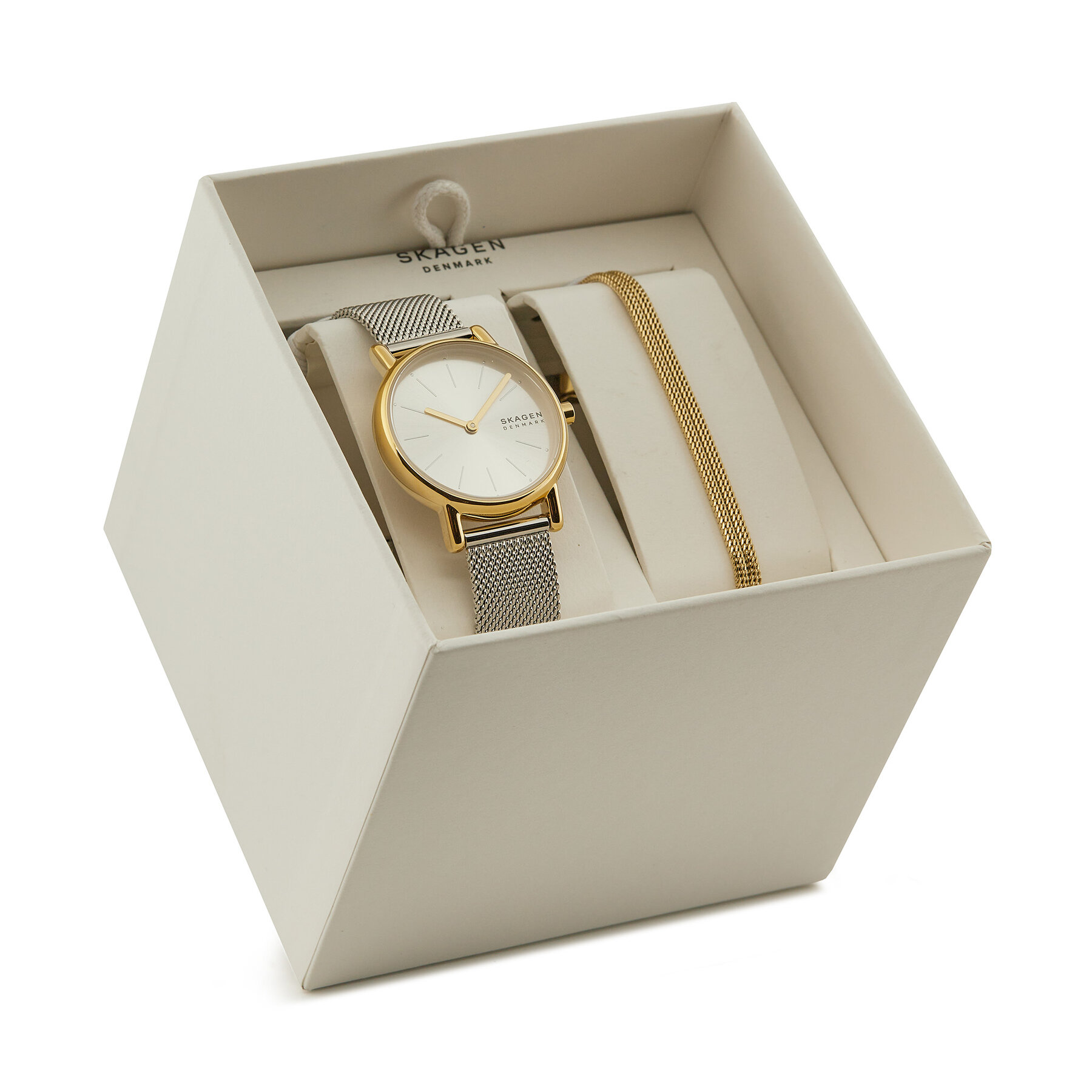 Reloj Skagen SKW3153SET Plata