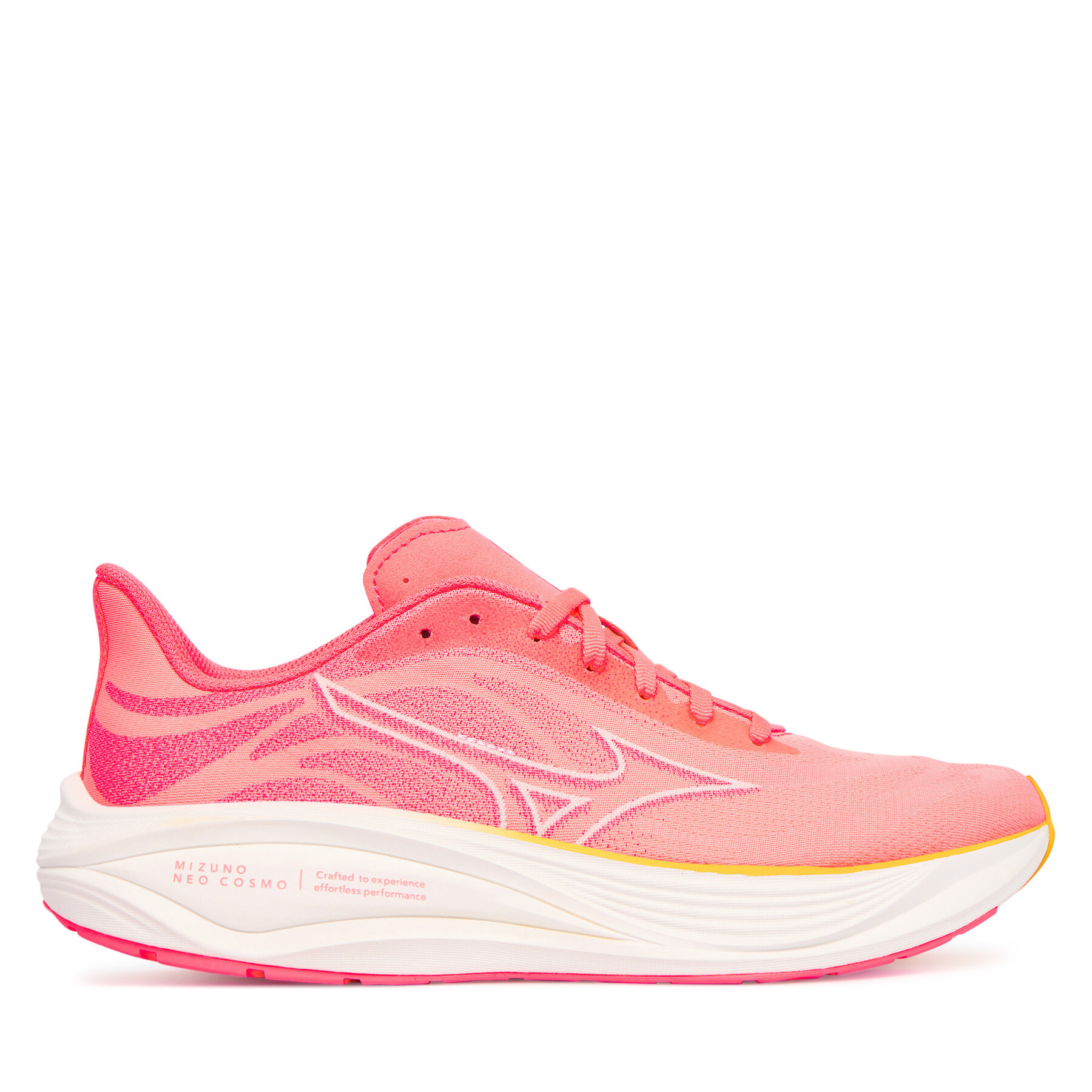 Pantofi pentru alergare Mizuno