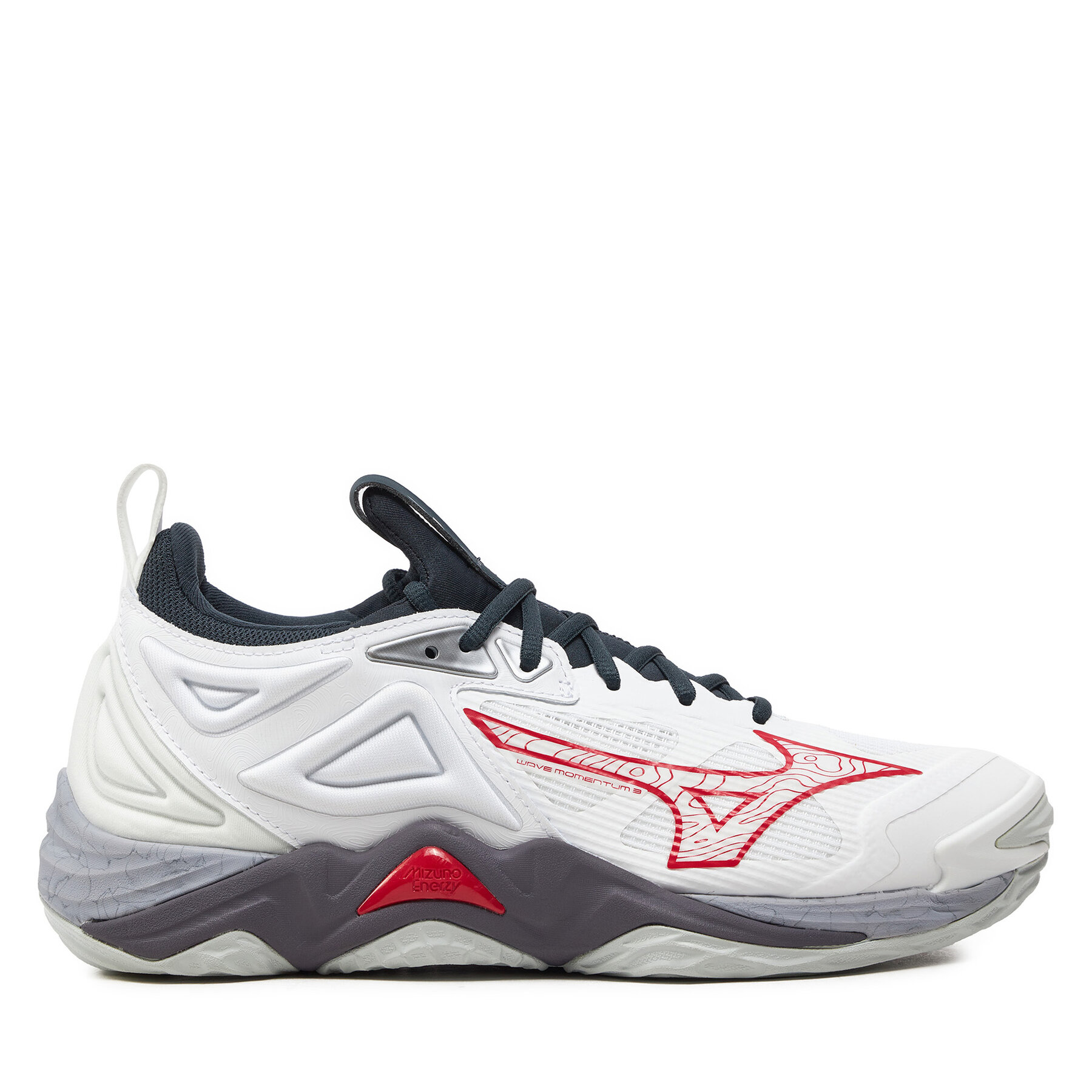 Chaussures pour sport en salle Mizuno Wave Momentum 3 V1GA2312 Bleu