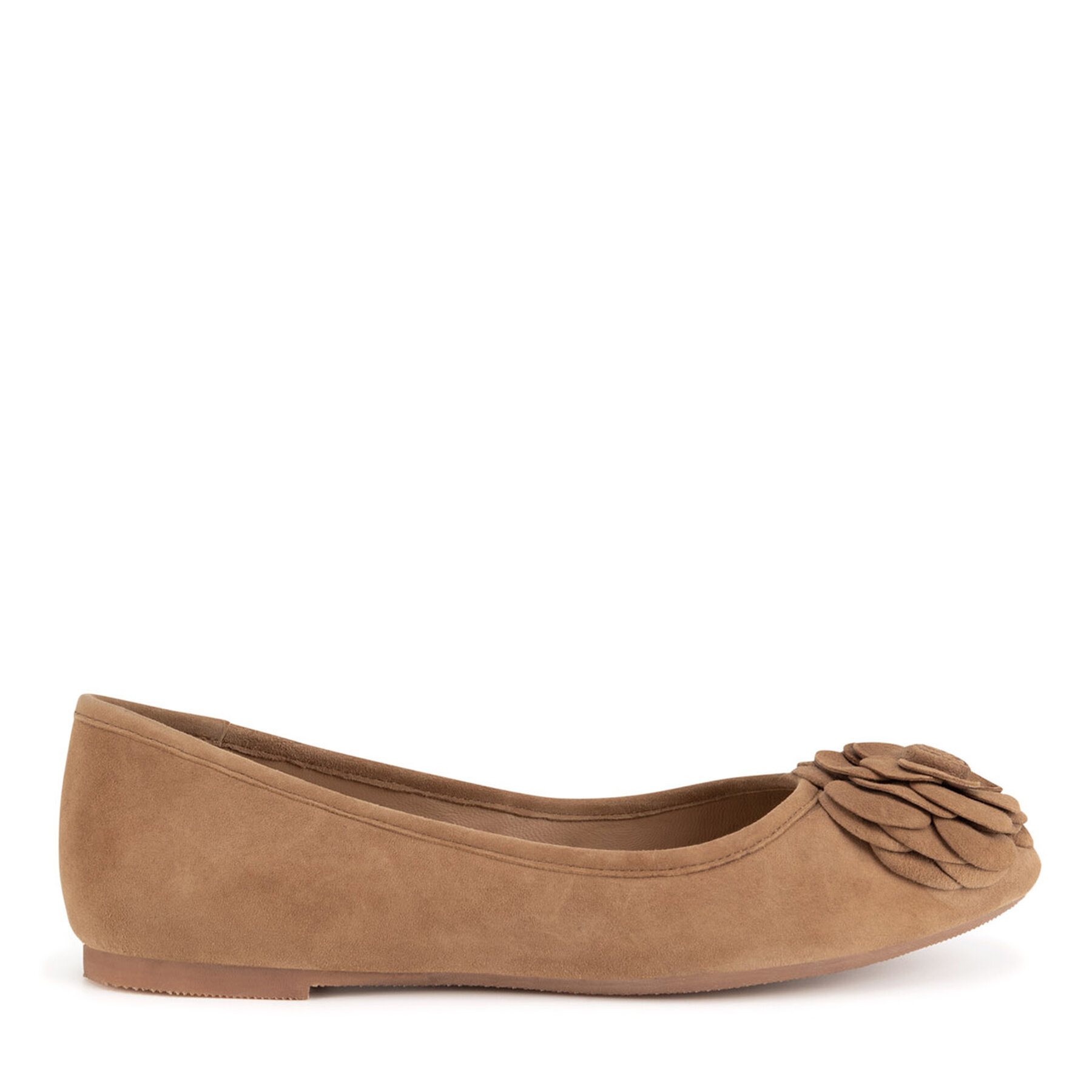 Ballerine Sergio Bardi WI40-F1105-01SB Marrone