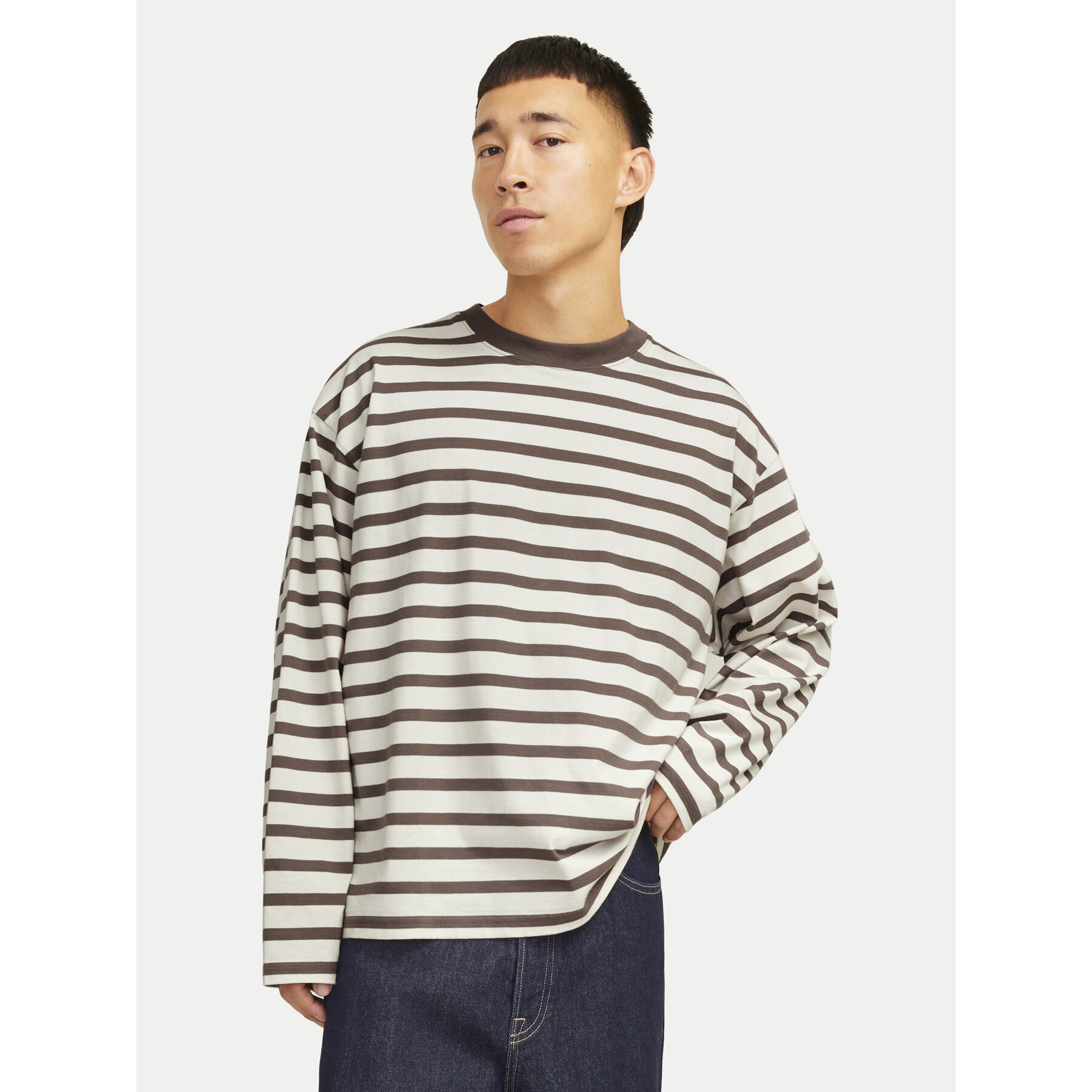 Jack & Jones Longsleeve Islington 12273202 Beige Loose Fit