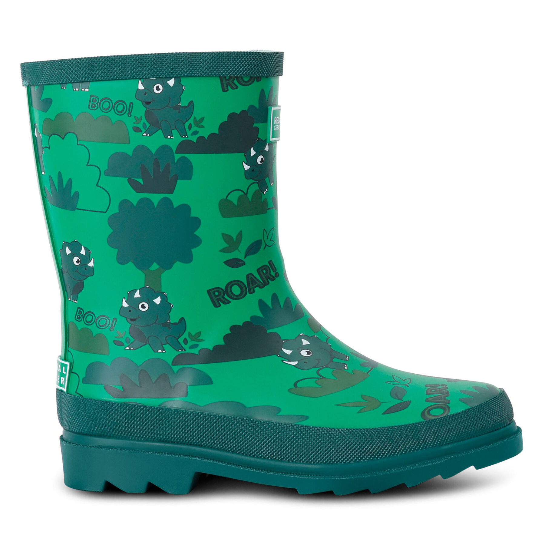 Bottes de pluie Regatta RKF856 95D Vert