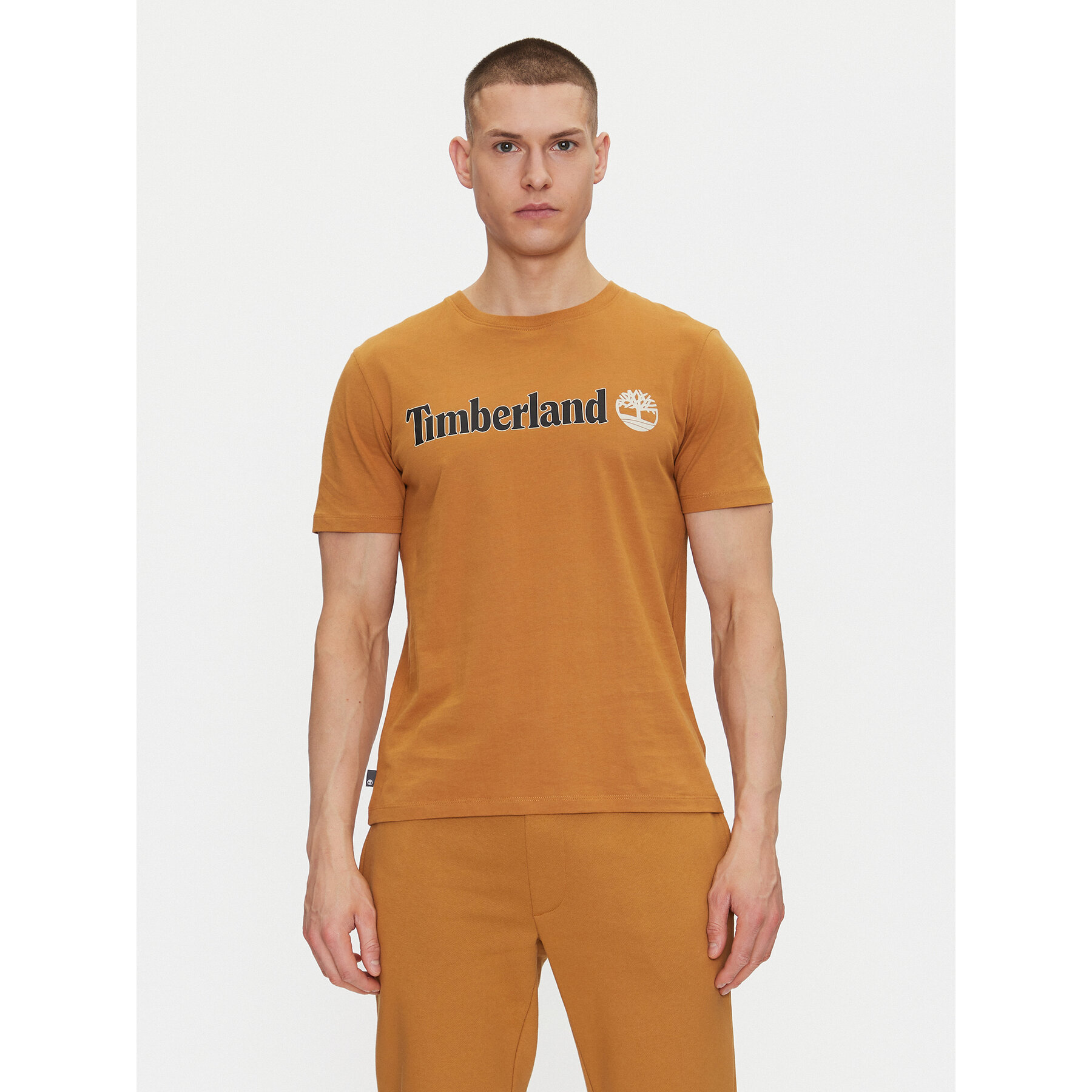 Timberland T-Shirt TB0A5UPQ Μπεζ Regular Fit