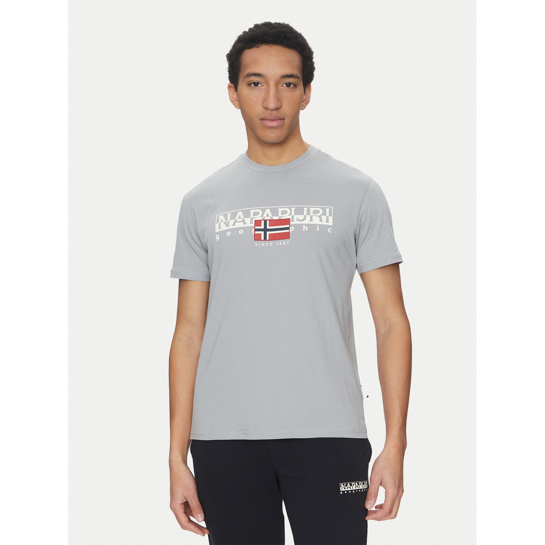 Napapijri T-Shirt S-Aylmer NP0A4HTO Γκρι Regular Fit