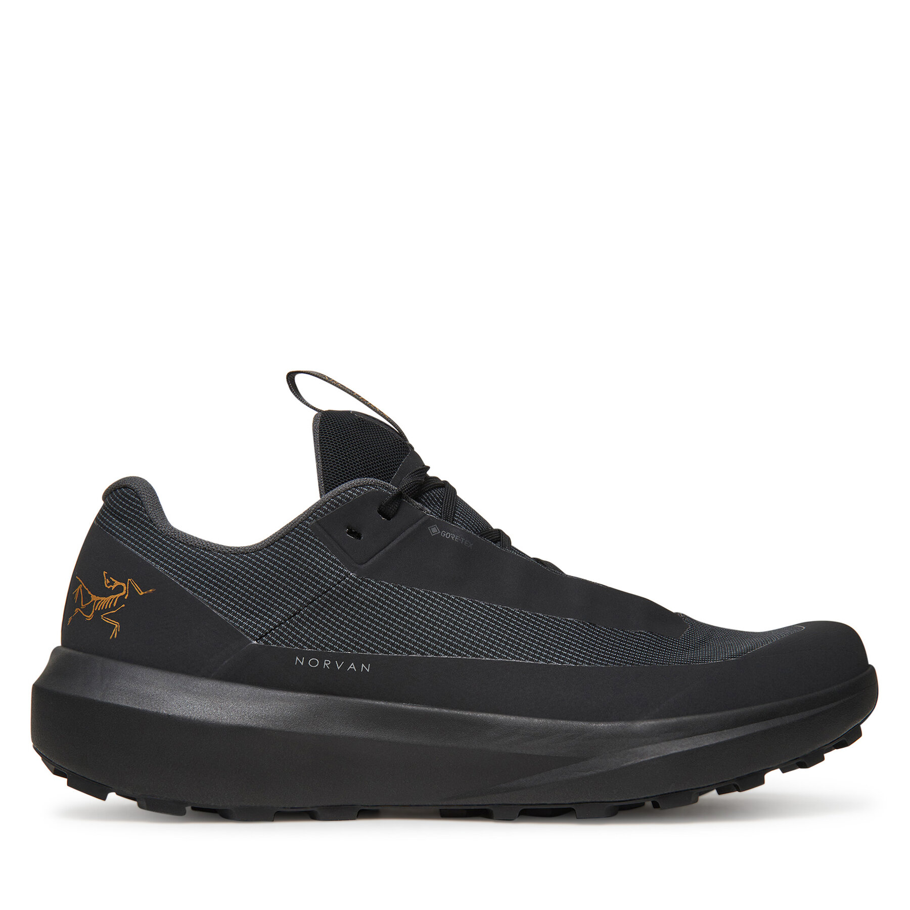 Uomo Scarpe running Arc'teryx, Taglia 44, Nero, Norvan LD 4 GTX X000009612, taglia : 44