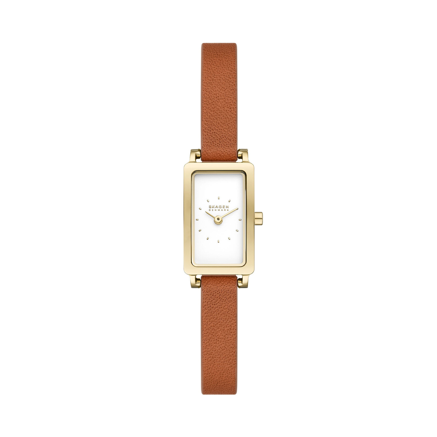 Reloj Skagen SKW3149 Marrón