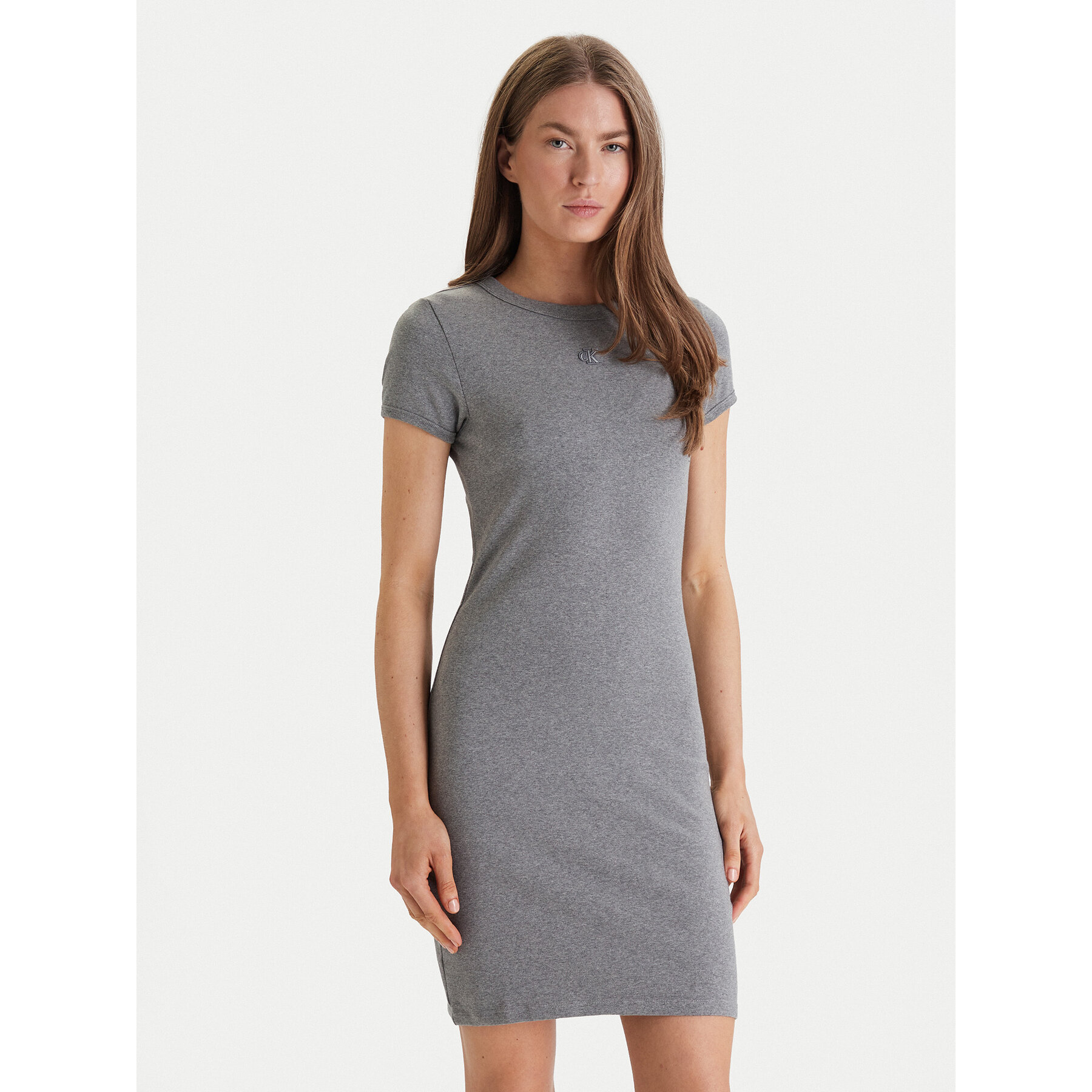 Calvin Klein Jeans Kleid für den Alltag LV047B266G Grau Slim Fit
