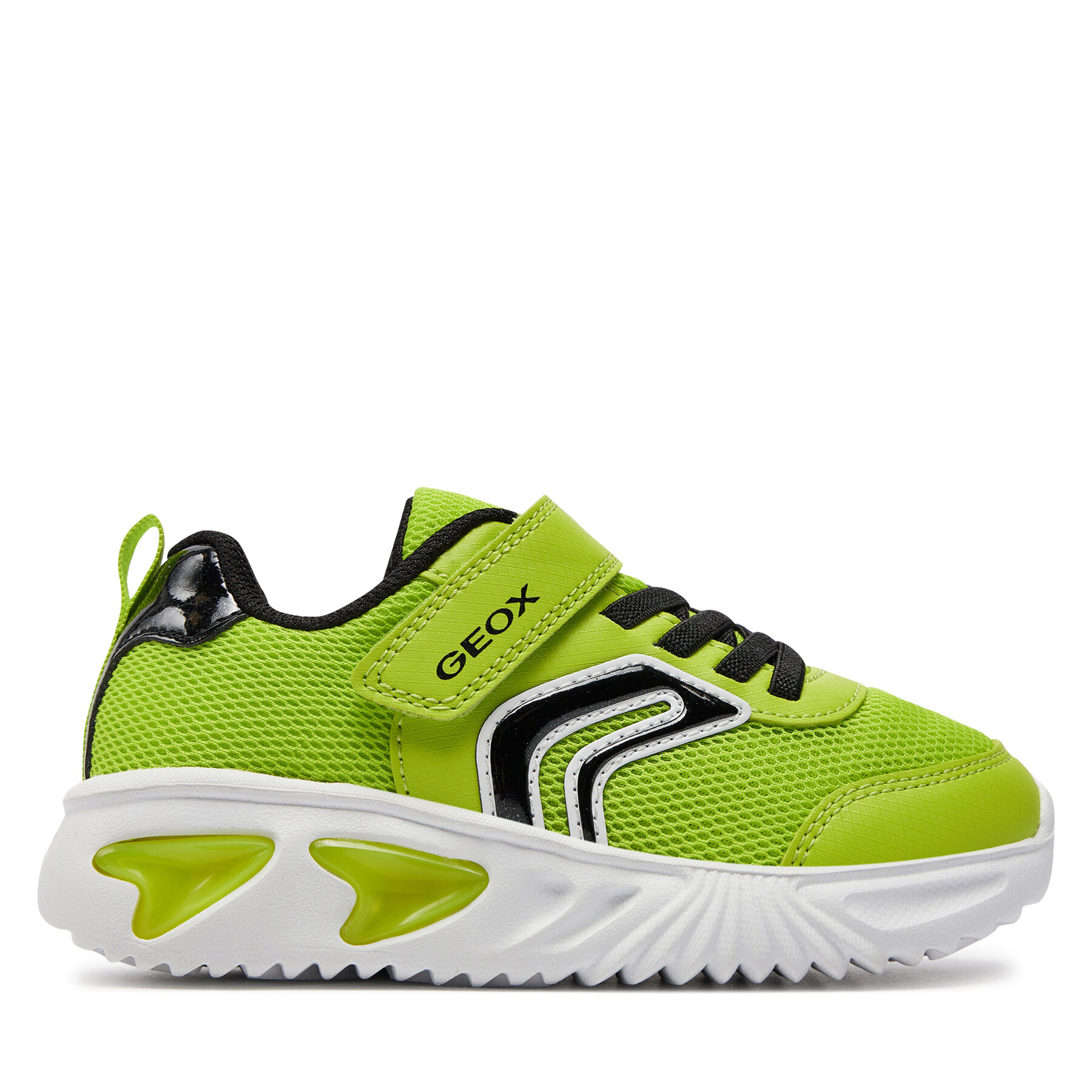 Sneakers Geox