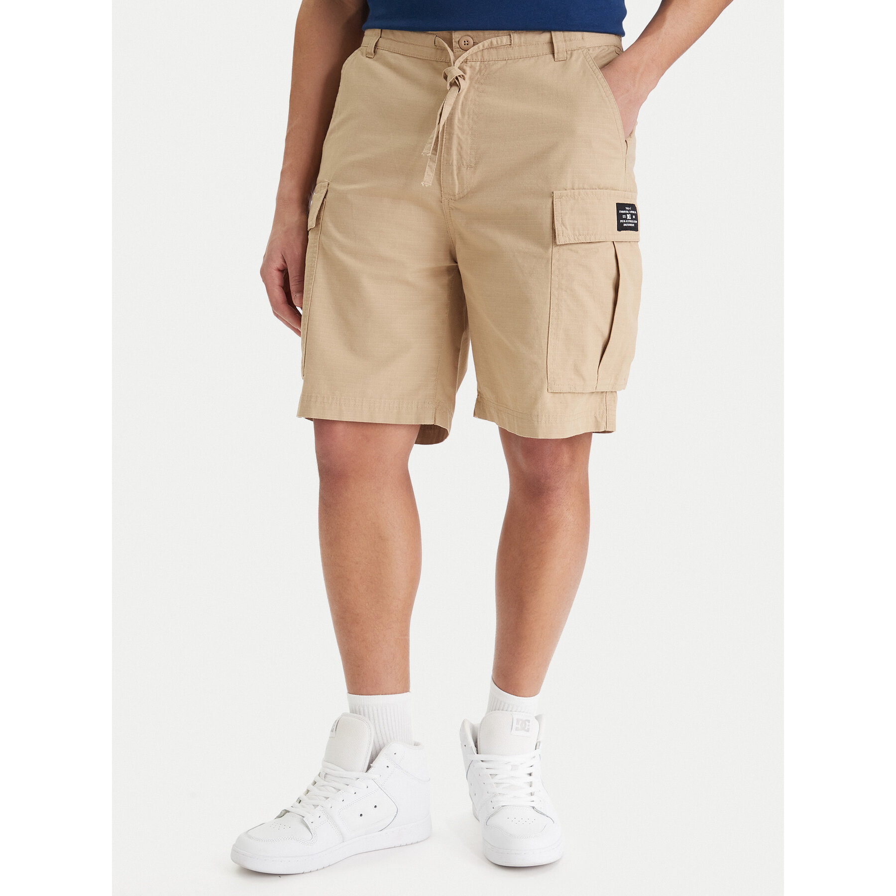 DC Shoes Stoffshorts Tundra ADYWS03086 Beige Regular Fit