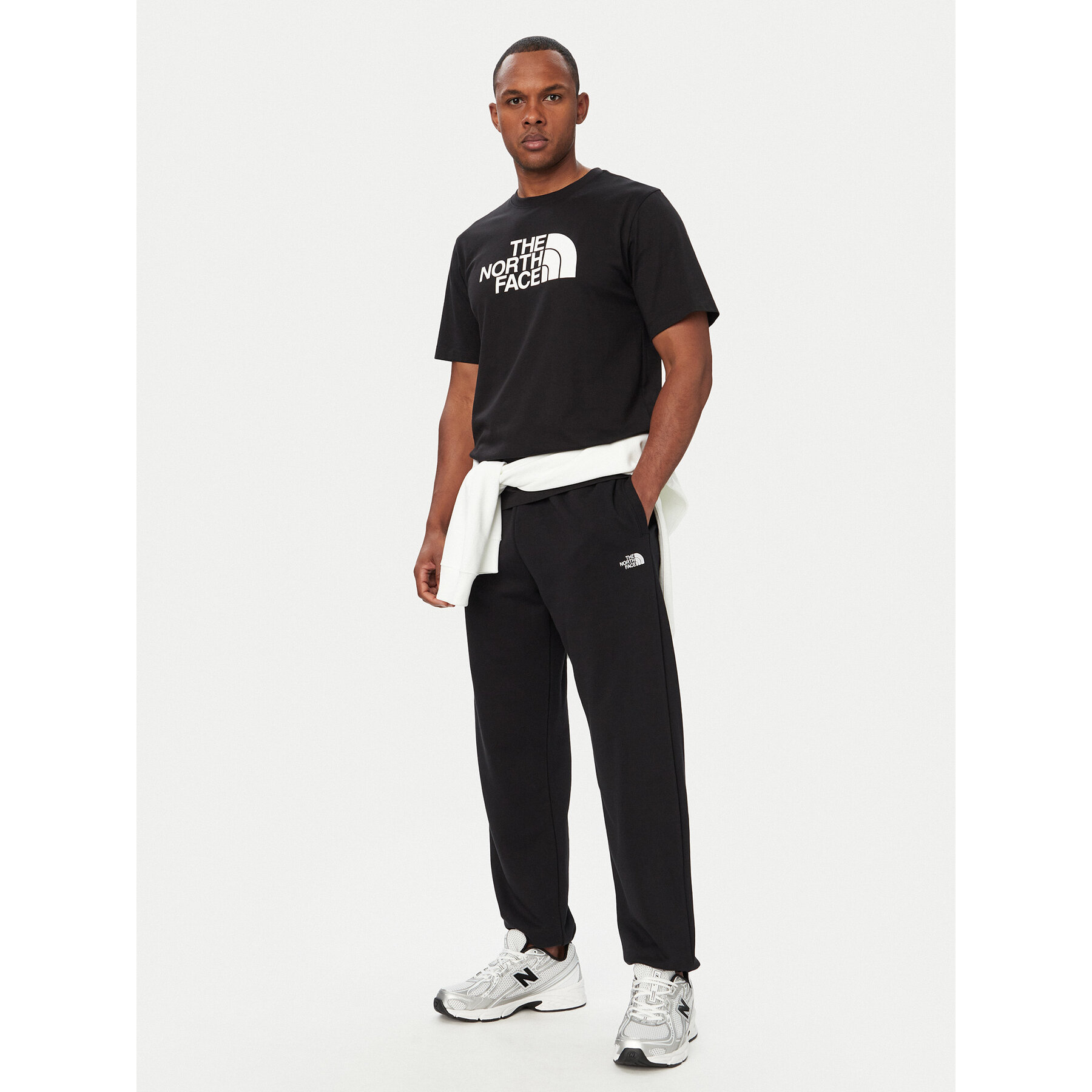 The North Face T-Shirt Evolution Half Dome NF0A8B6J Μαύρο Regular Fit