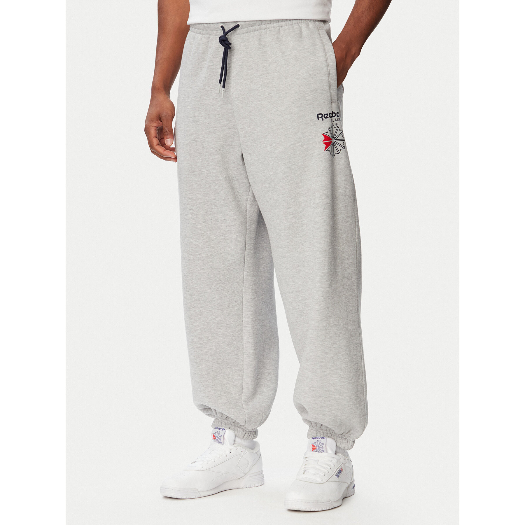 Reebok Donji dio trenerke Eryk RK25733CCM Svijetlo siva Regular Fit
