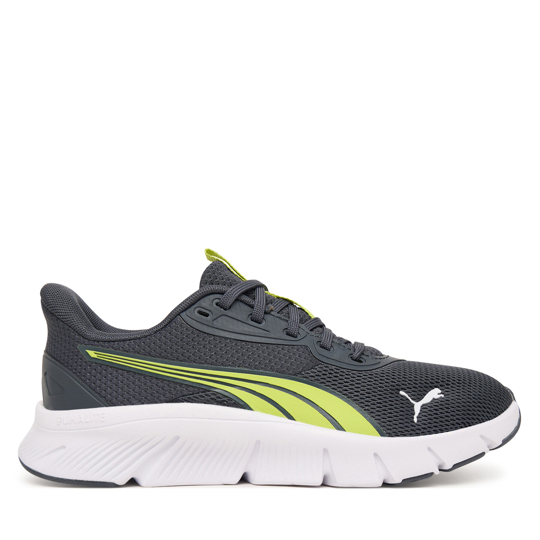 Sneakersy Puma Flexfocus Lite Modern Jr 401517 26 Sivá