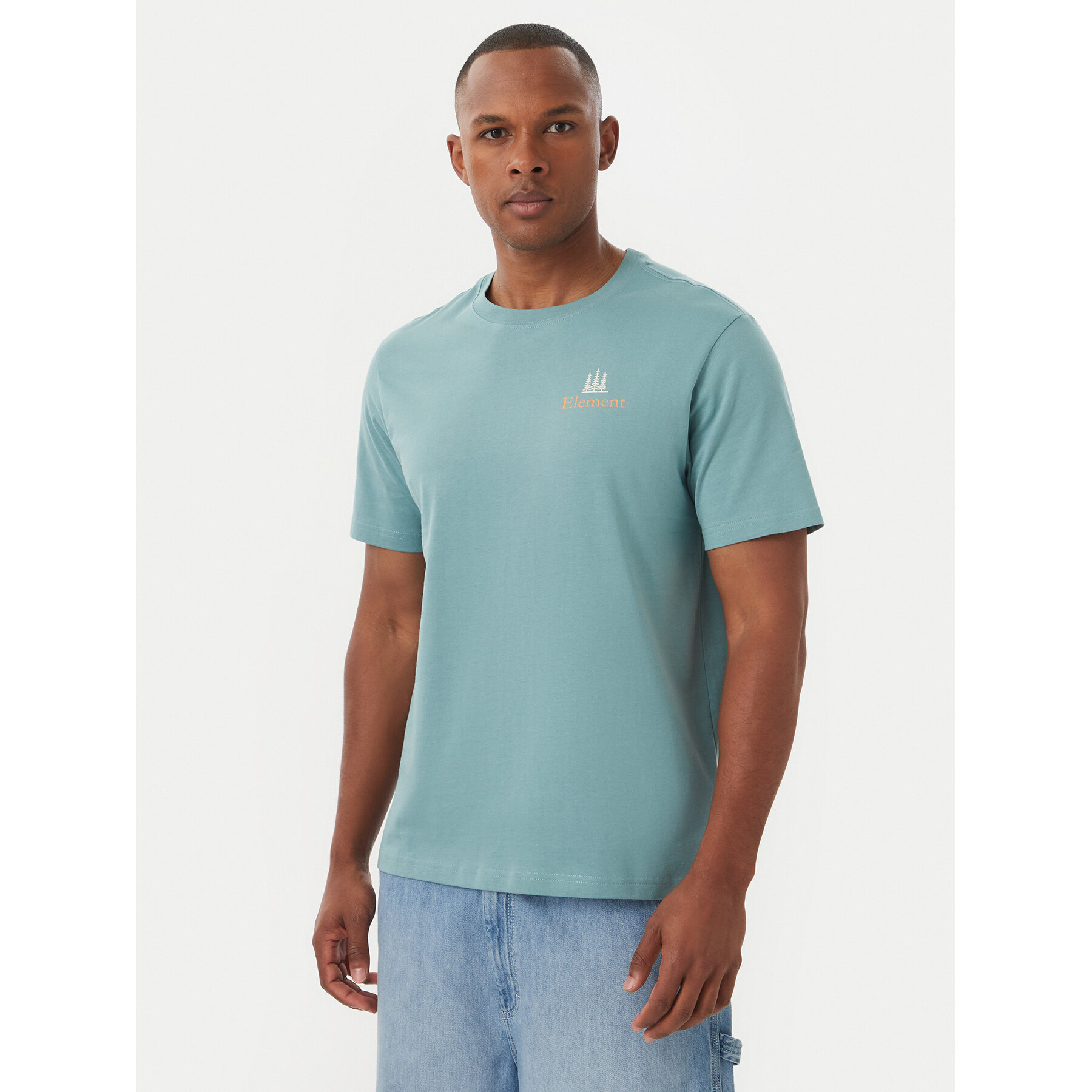 Element T-Shirt SBXE Remember ELYZT00489 Türkisfarben Regular Fit