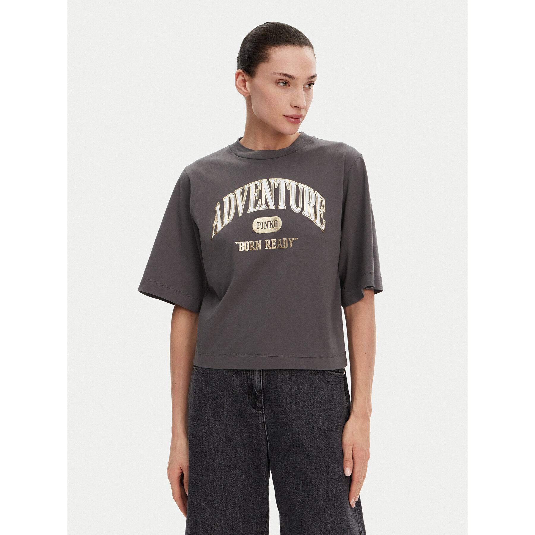 PINKO T-Shirt Niamey 104604 A2CS Γκρι Regular Fit