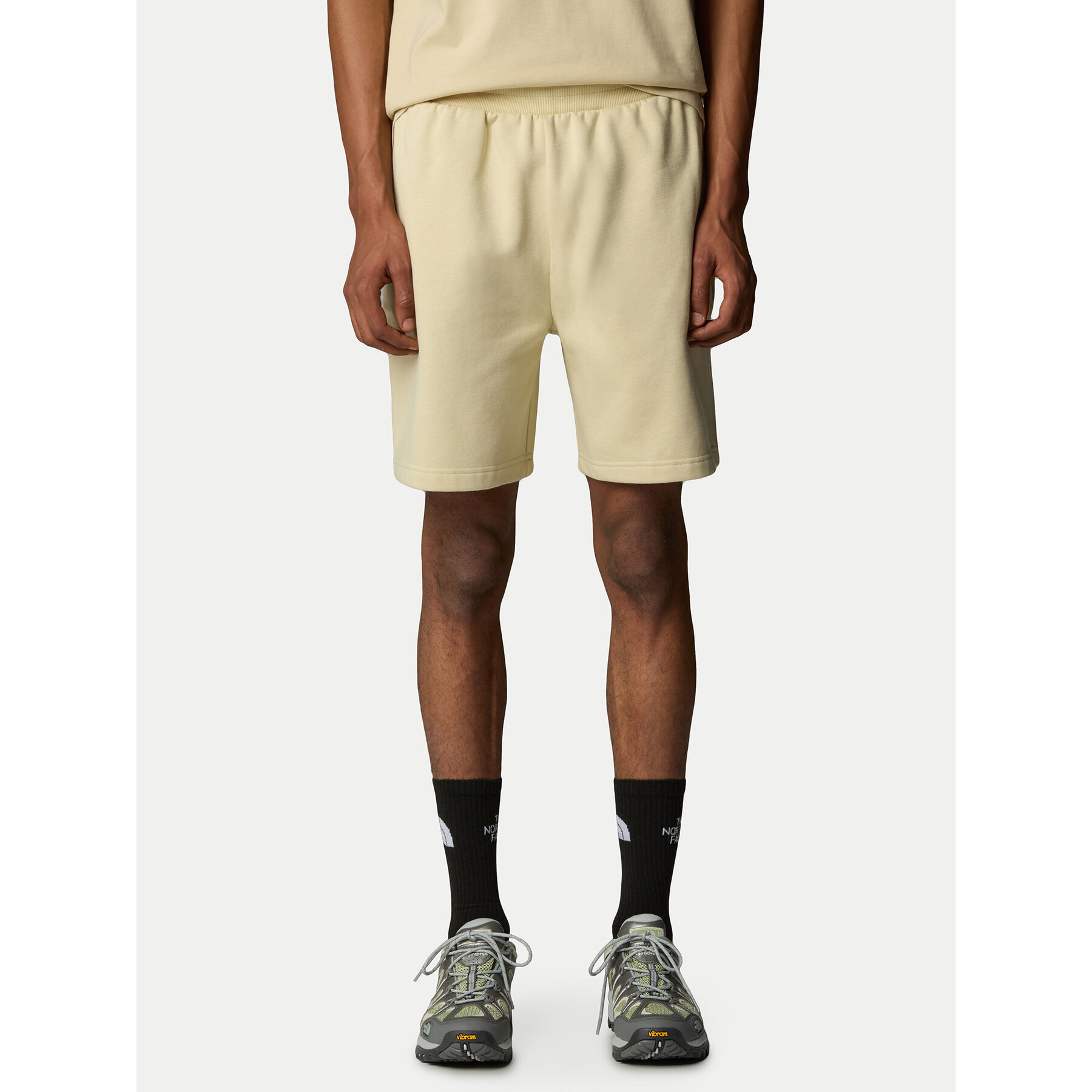 The North Face Sportshorts Easy NF0A8C2S Beige Regular Fit