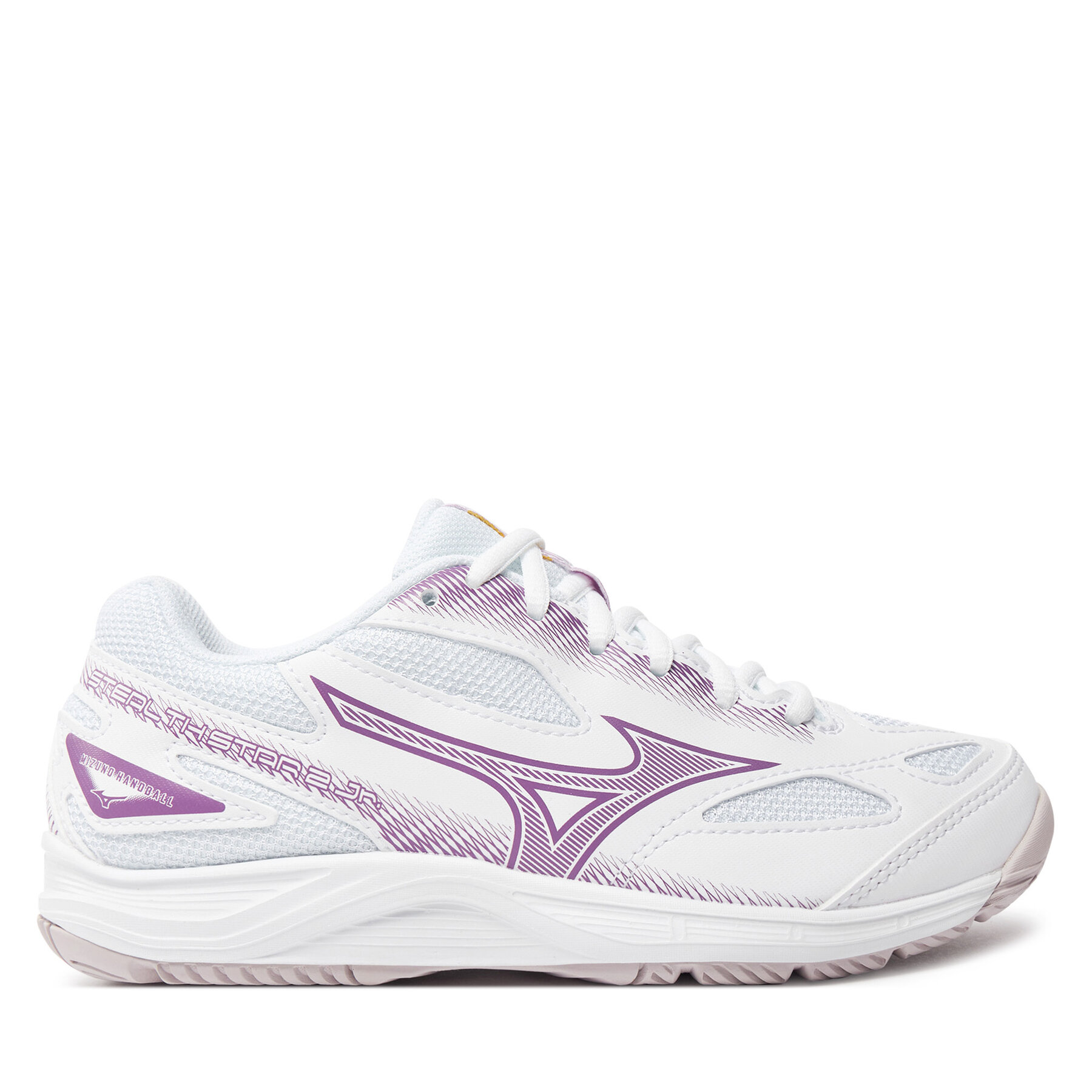 Hallenschuhe Mizuno
