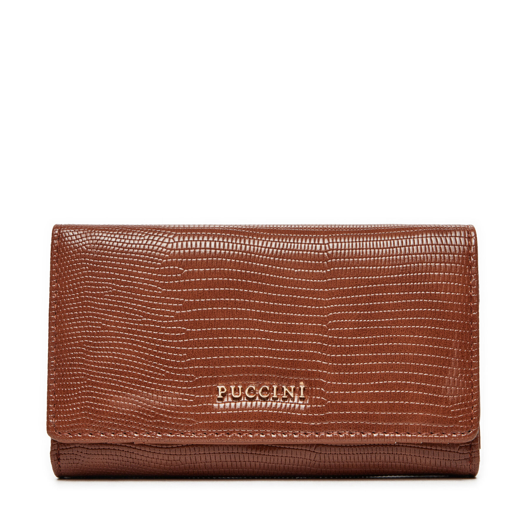 Cartera grande para mujer Puccini BLP839B Marrón