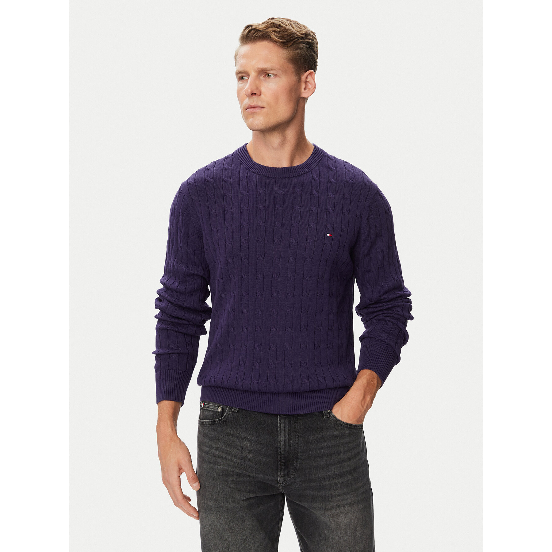Tommy Hilfiger Pullover Classic MW0MW33132 Violett Regular Fit