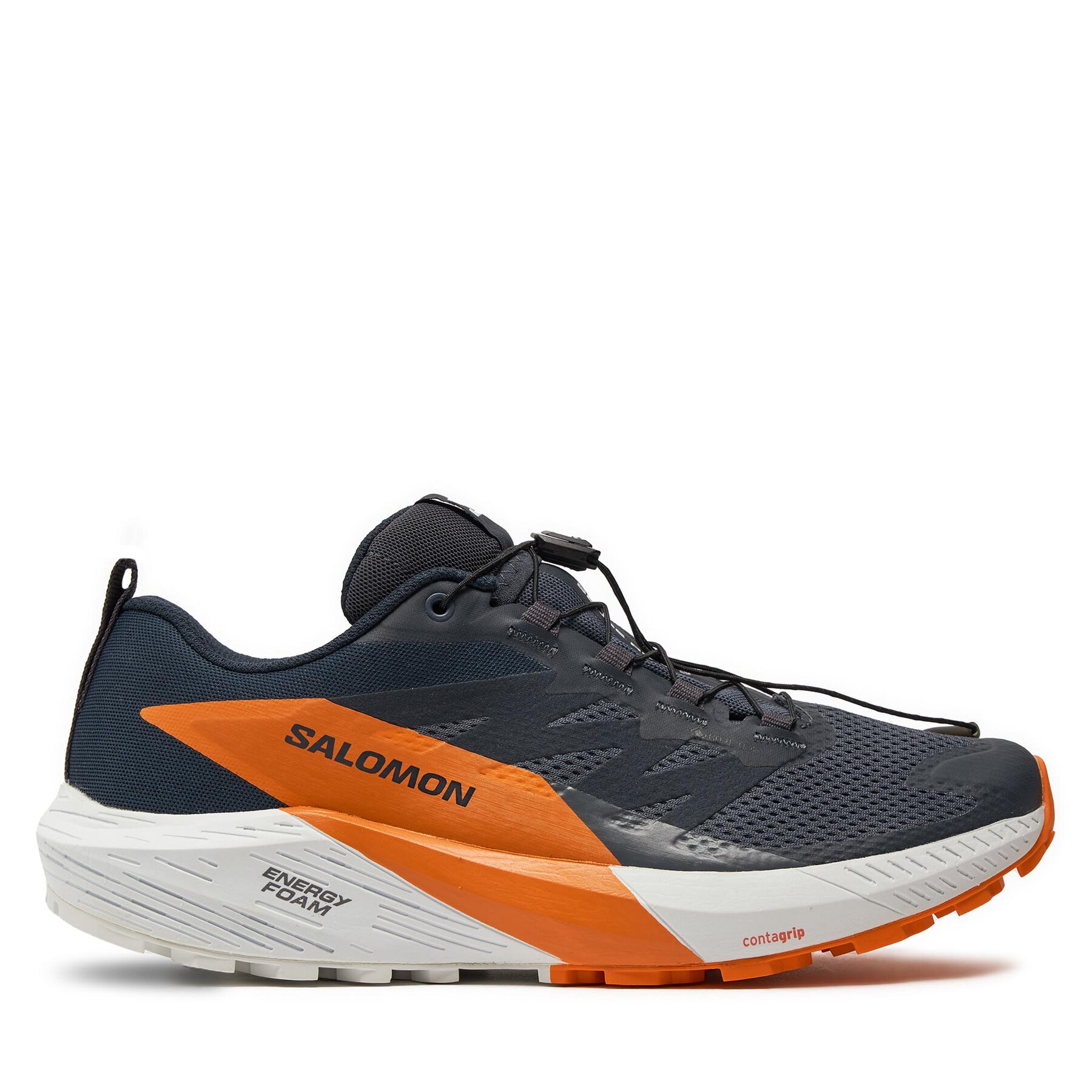 Chaussures de running Salomon Sense Ride 5 Gore-Tex L47459400 Gris