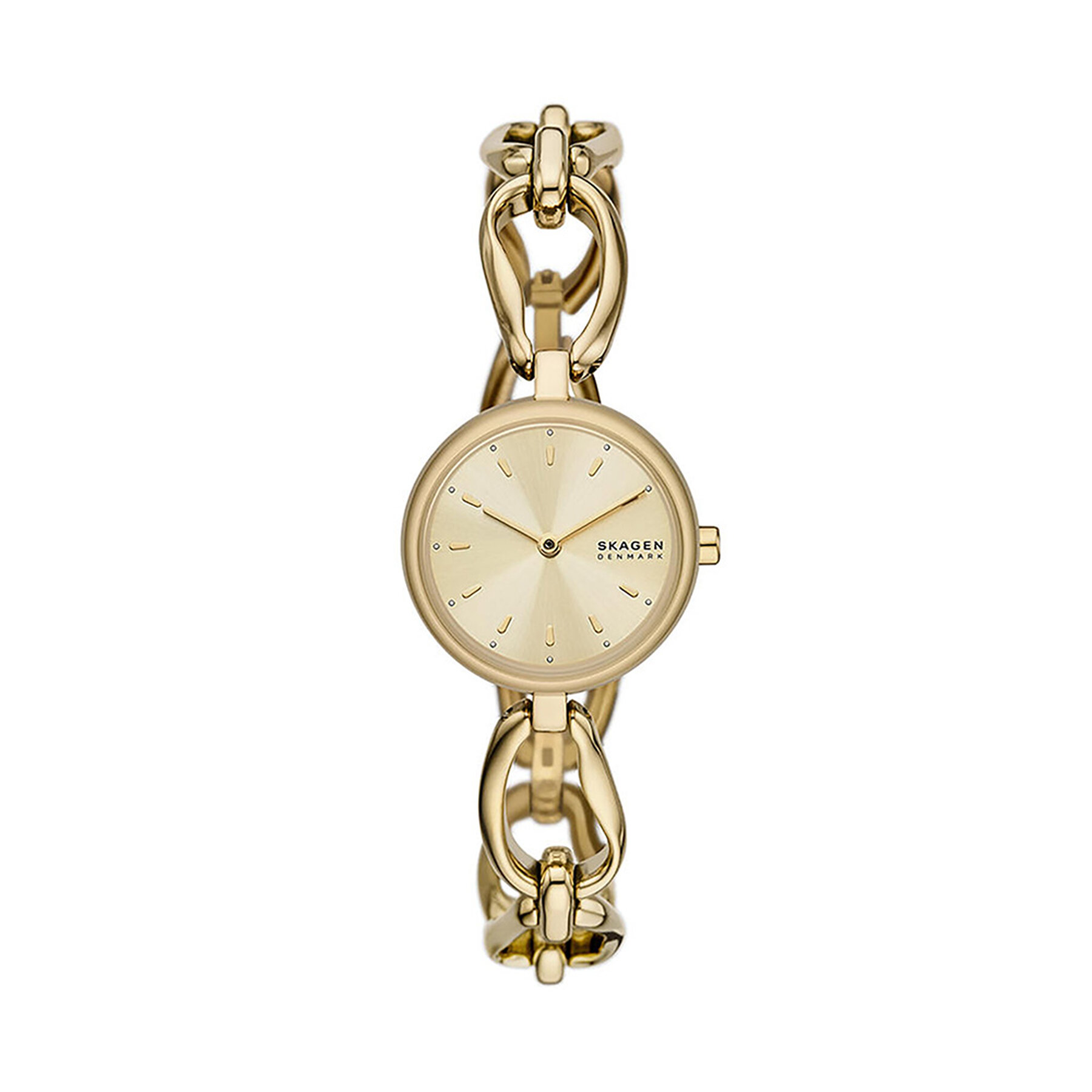 Reloj Skagen Signatur SKW3152 Oro