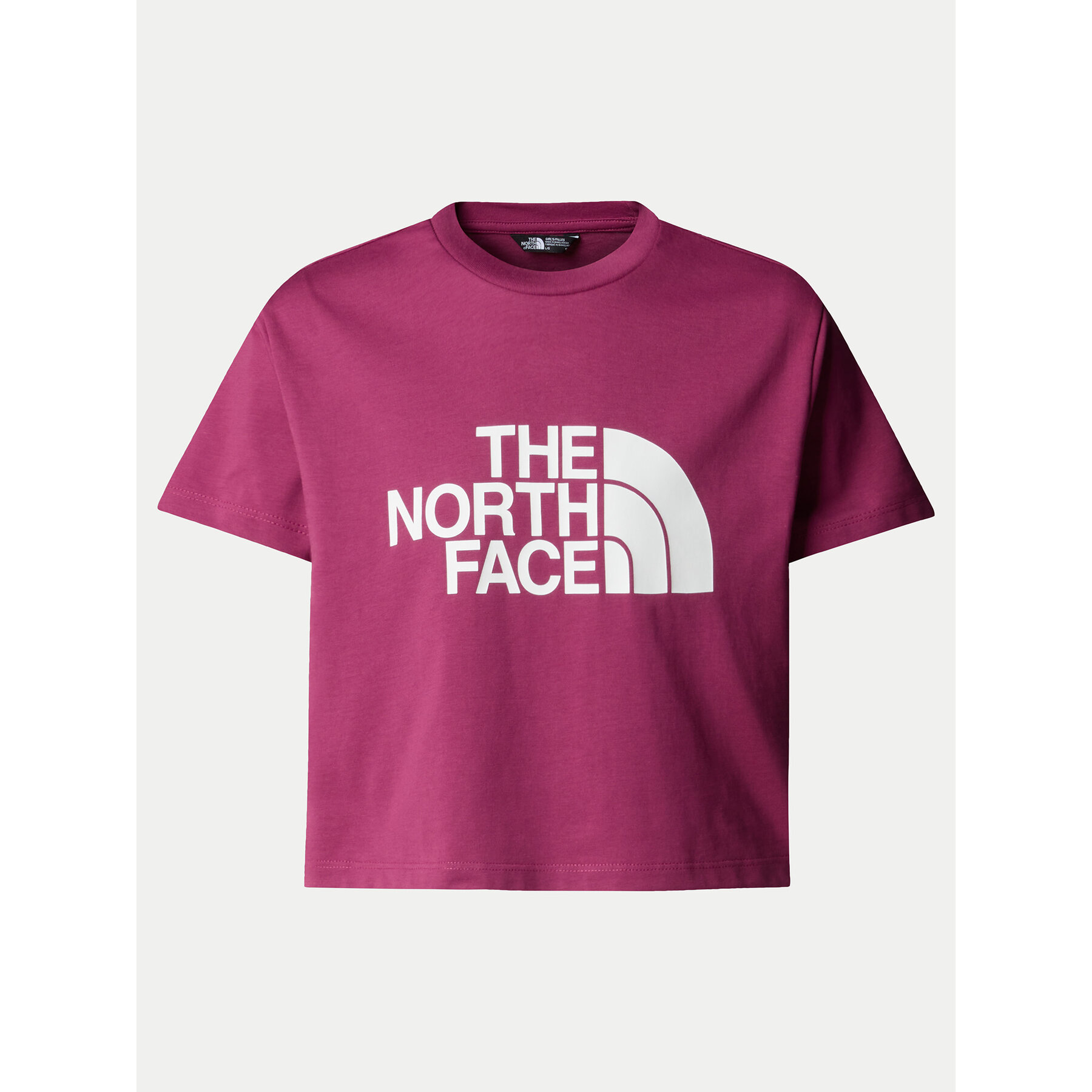 The North Face Póló Easy NF0A8DRQ Rózsaszín Relaxed Fit