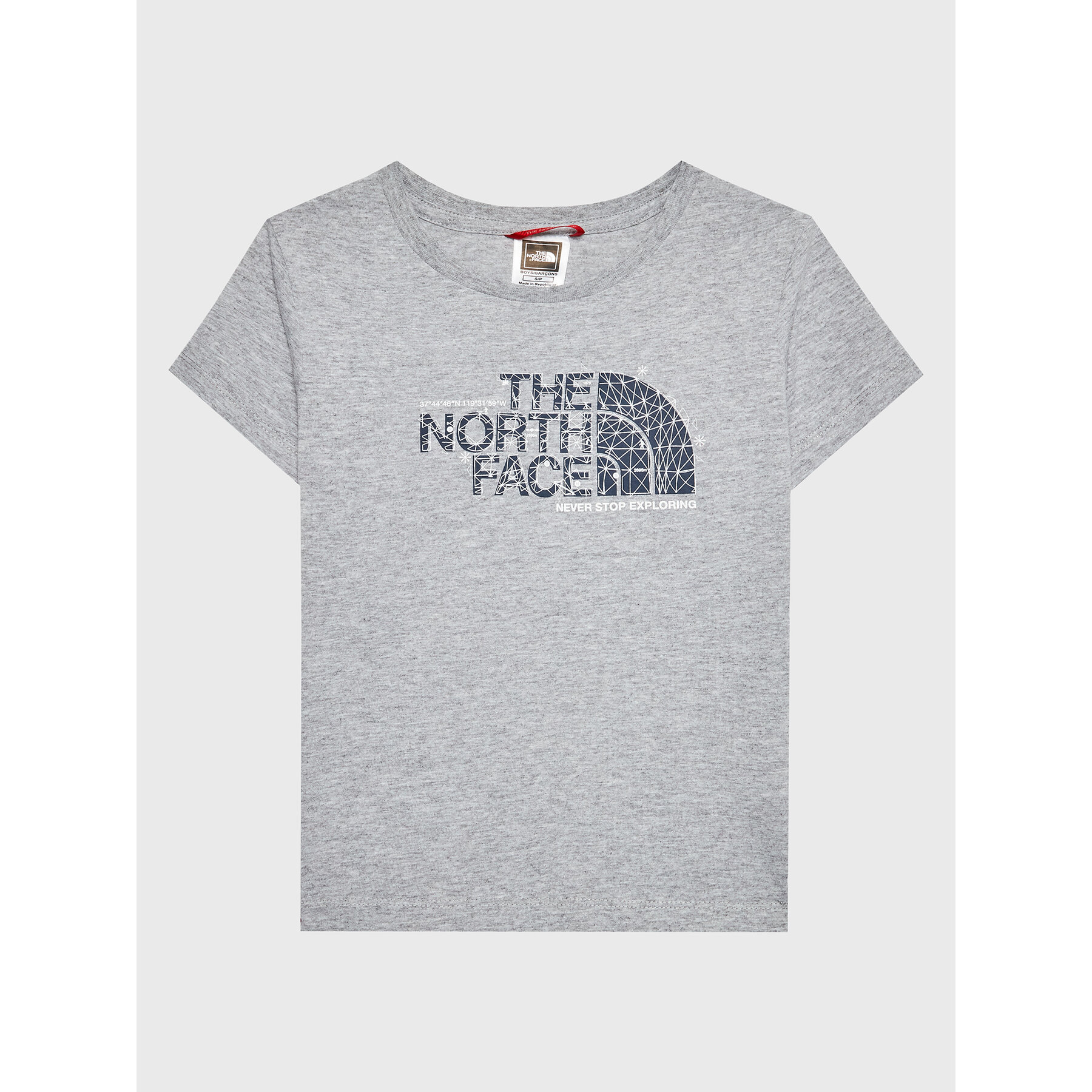 The North Face Marškinėliai Graphic NF0A7X5B Pilka Regular Fit