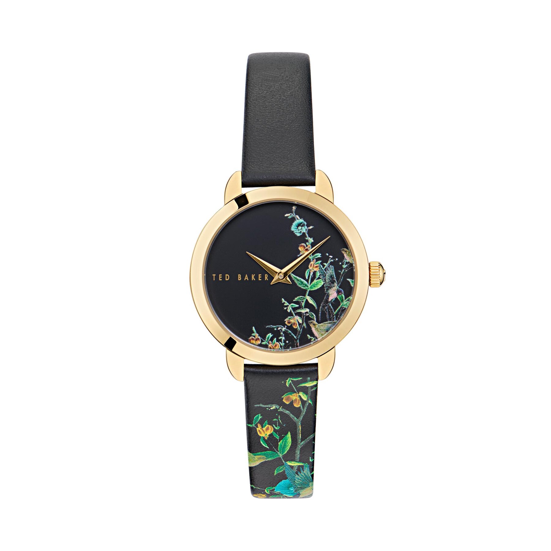 Hodinky Ted Baker BKPFLS403 Čierna