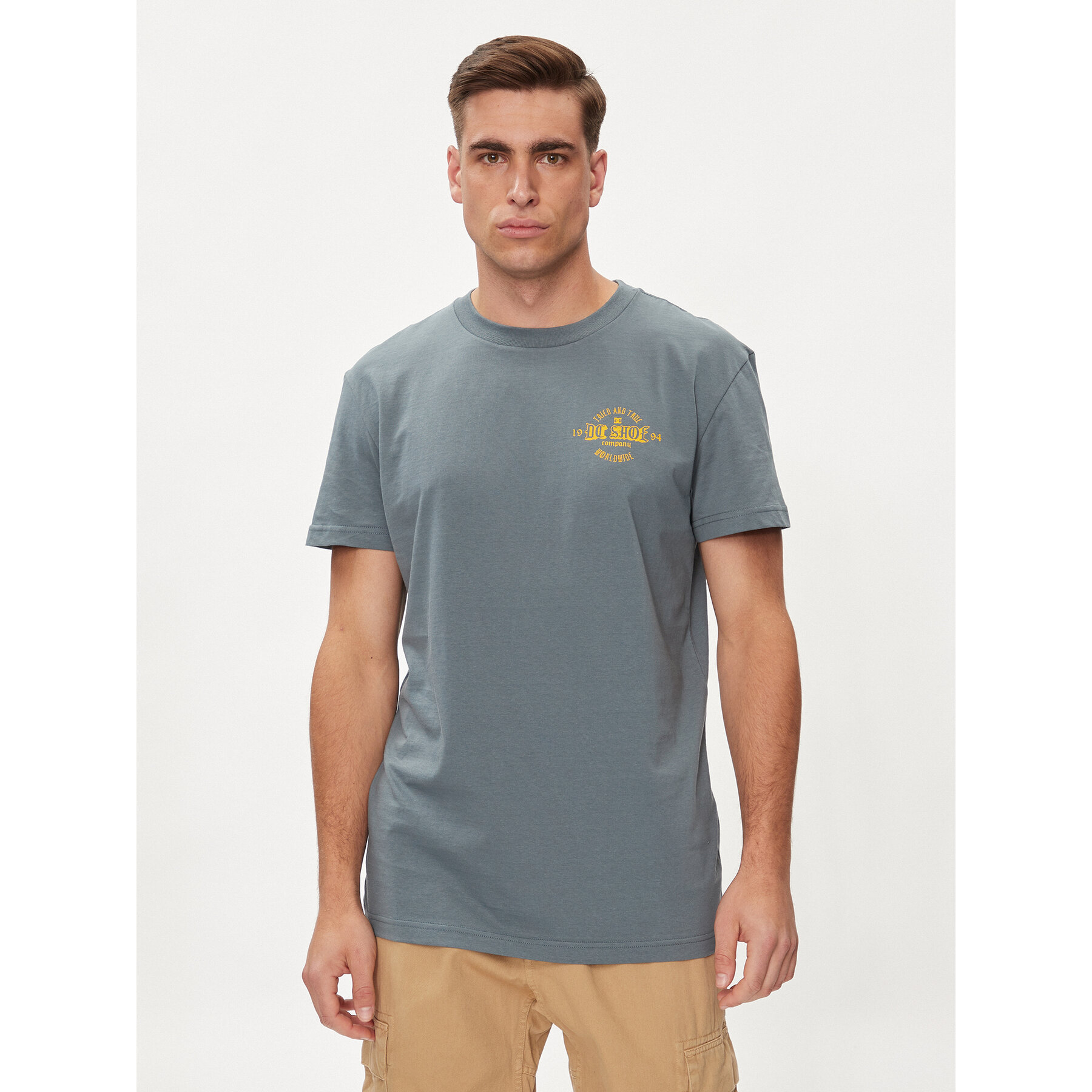 DC Shoes T-shirt Chain Gang Tss ADYZT05348 Grigio Regular Fit