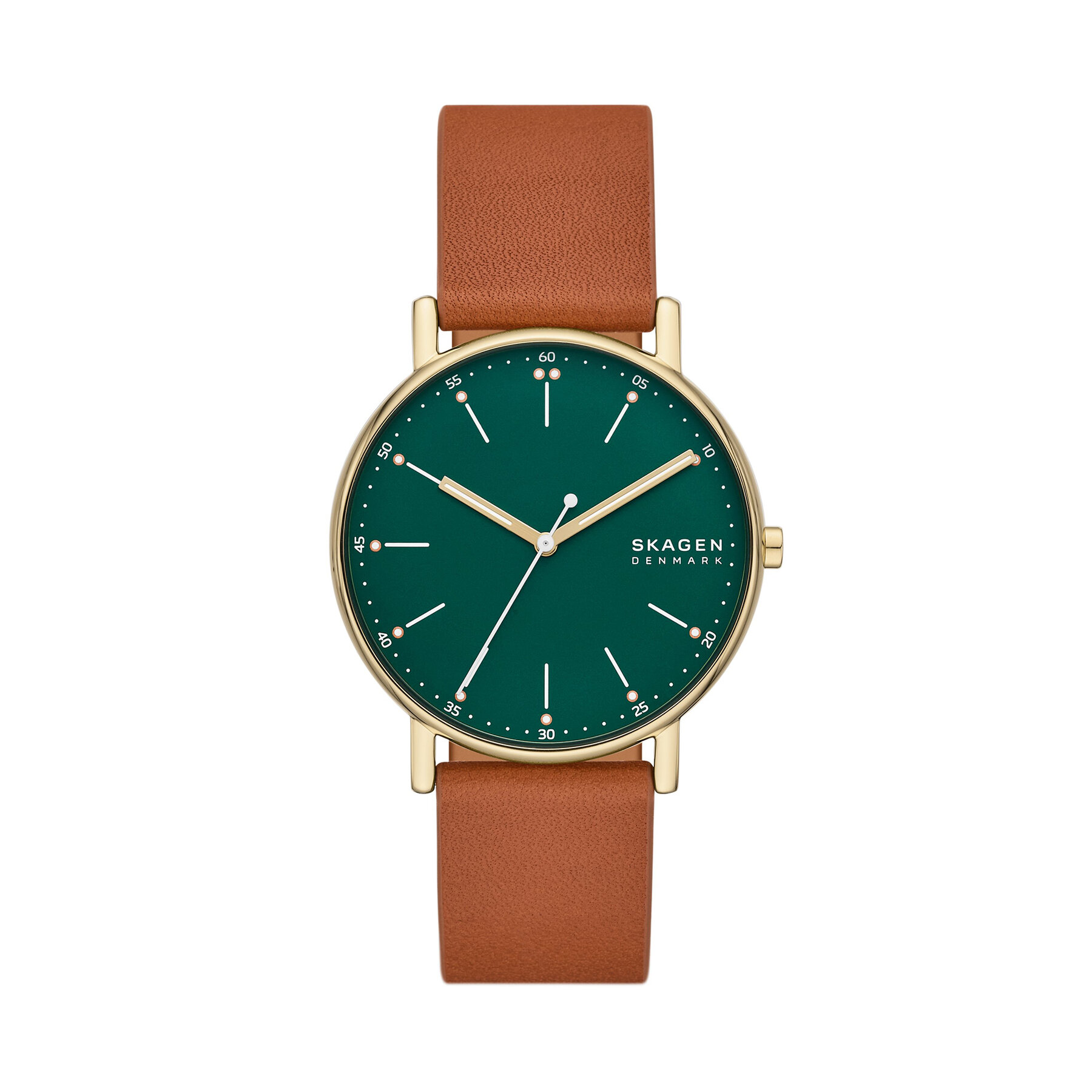 Reloj Skagen Signatur SKW6927 Verde