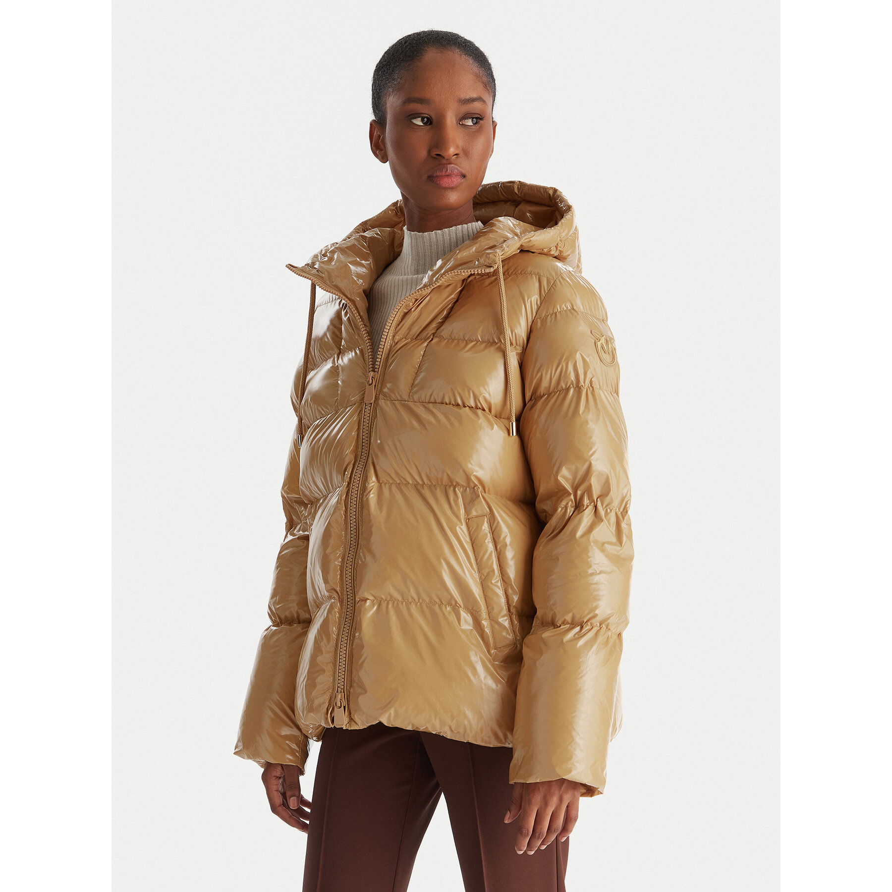 PINKO Winterjacke Eleodoro 101597 A2P7 Beige Regular Fit