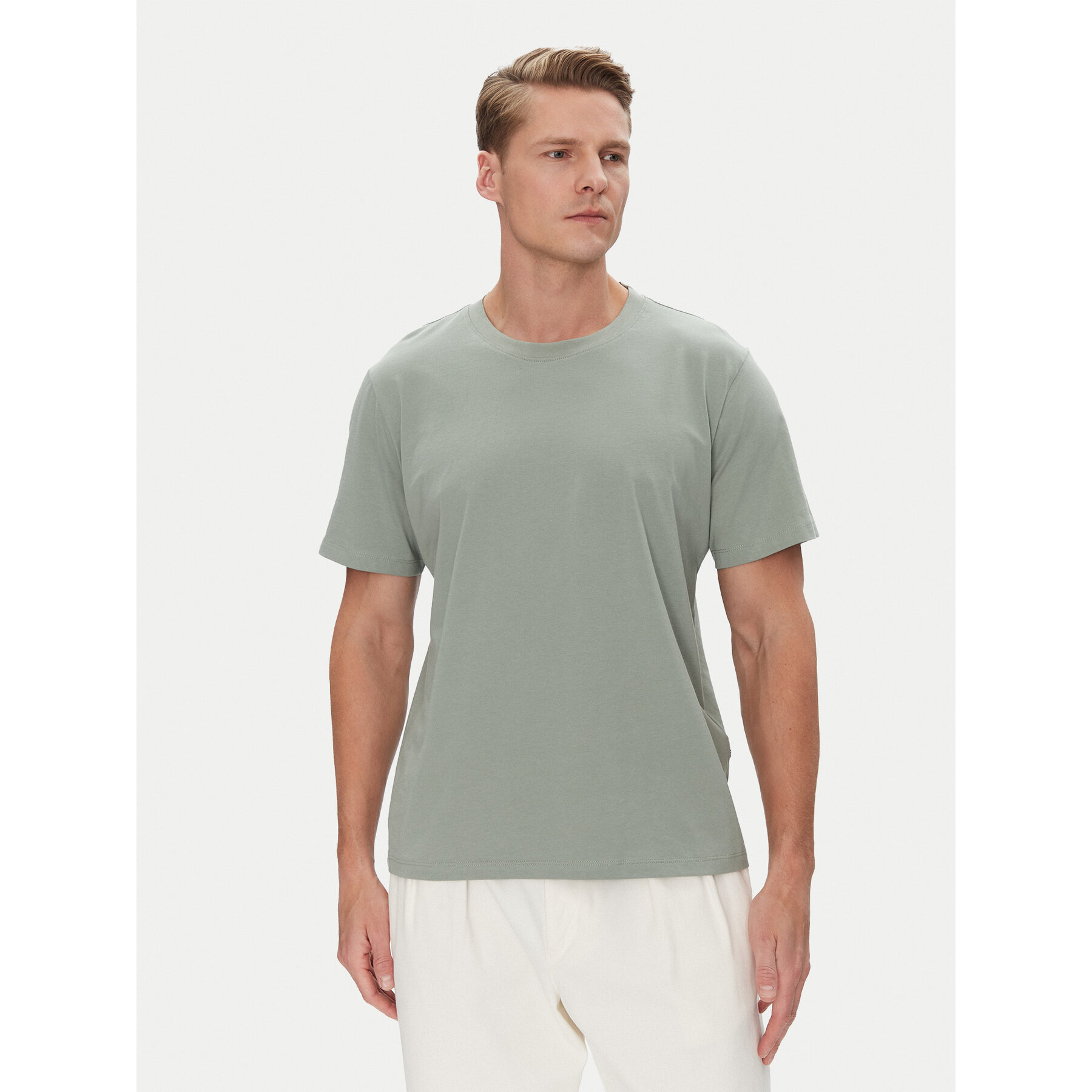 Selected Homme T-shirt Aspen 16087842 Verde Regular Fit